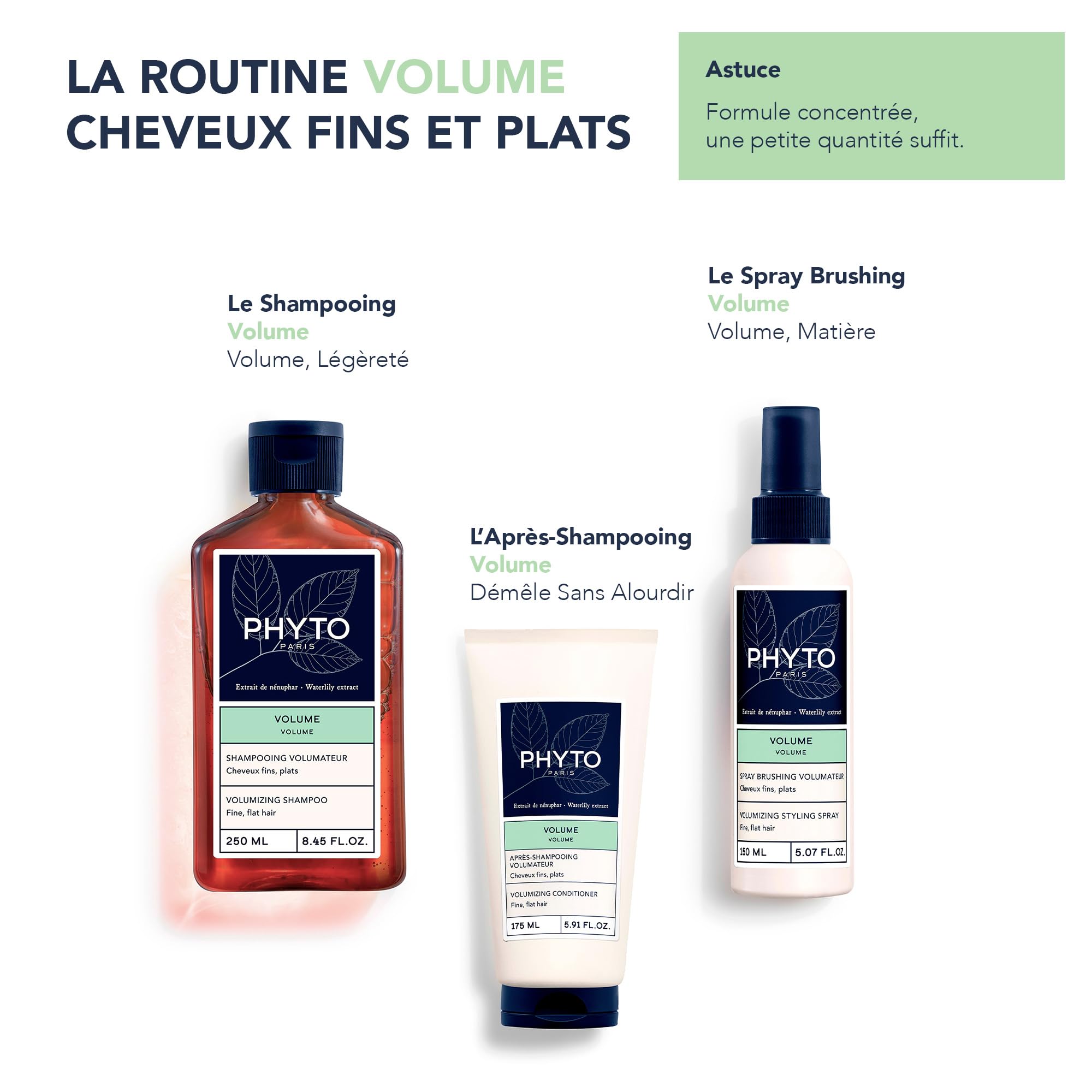 Phyto Volumizing Conditioner - Sulfate-Free, Silicone-Free, Vegan Hair Care for Fine Hair