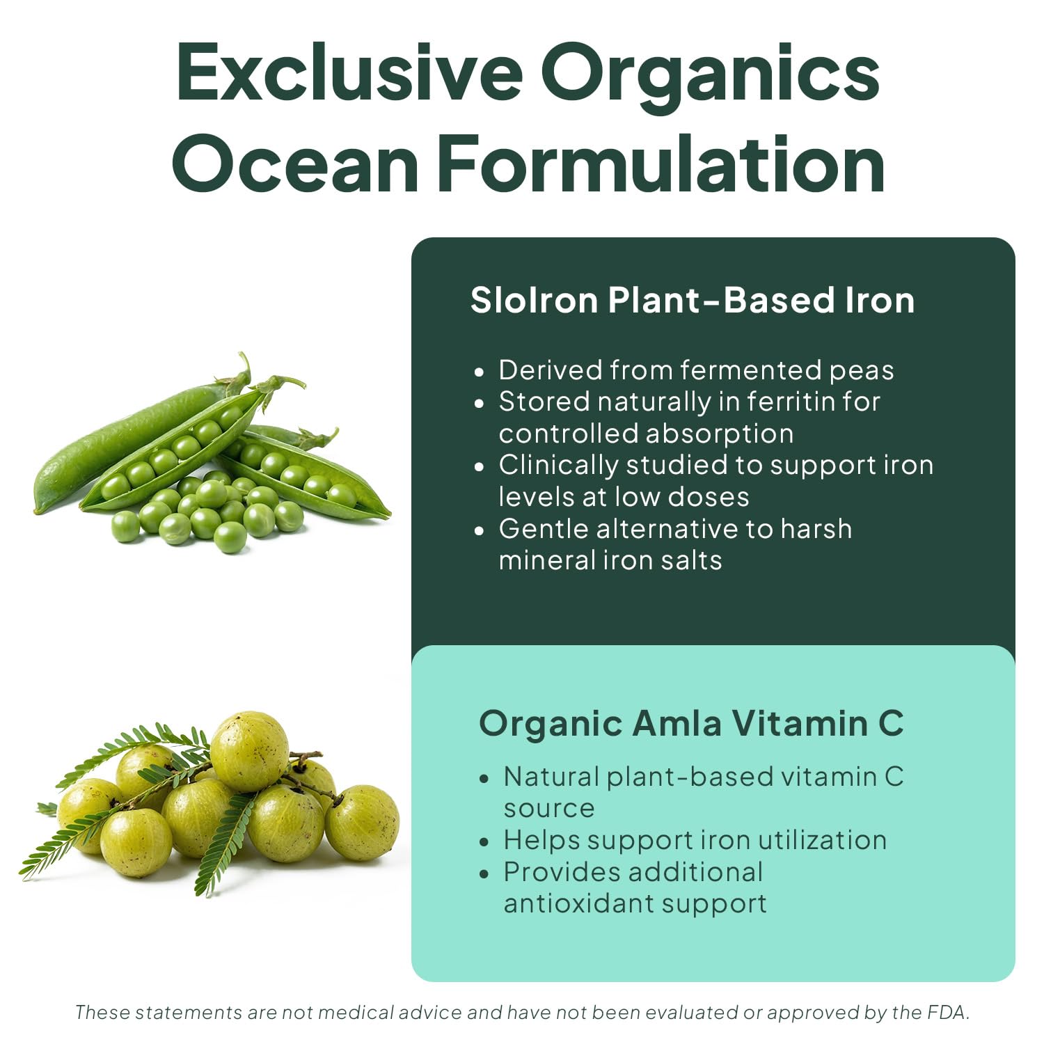 Ocean Methyl Folat - 30 Tablet Folic Acid Supplement