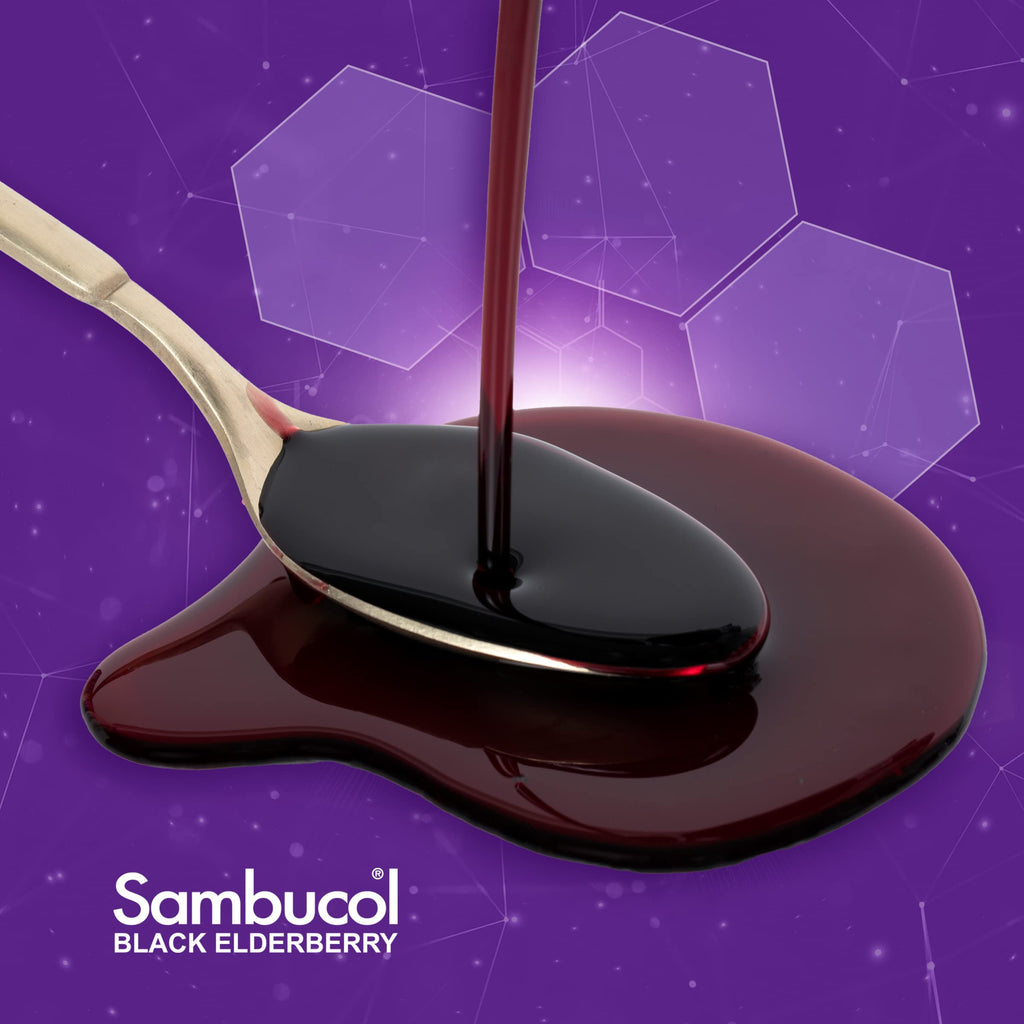 Sambucol Black Elderberry Syrup for Immune System Support - 4.06 fl oz