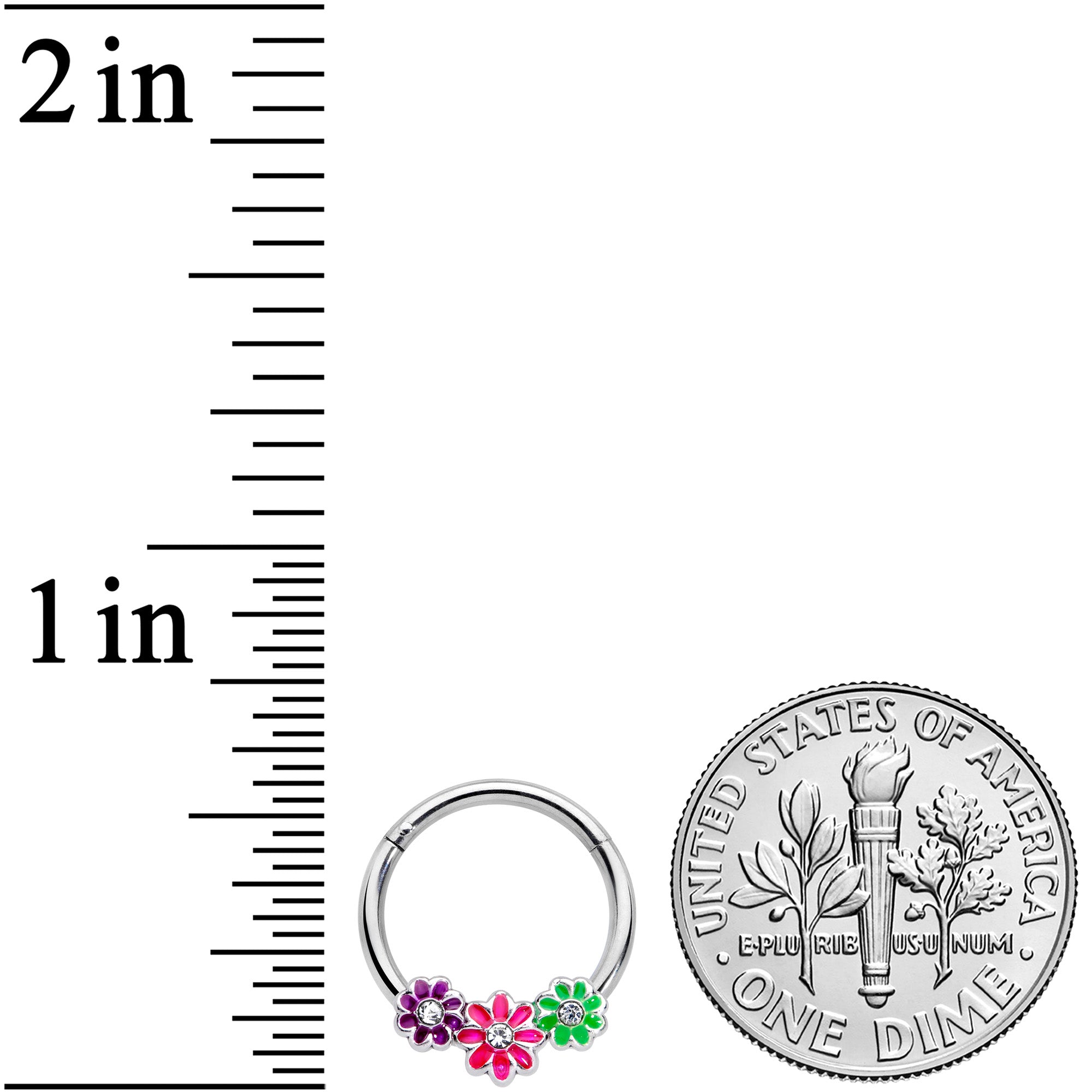 BodyCandy 16G 3/8 Clear Gem Floral Garland Hinged Segment Ring — lifestyle context
