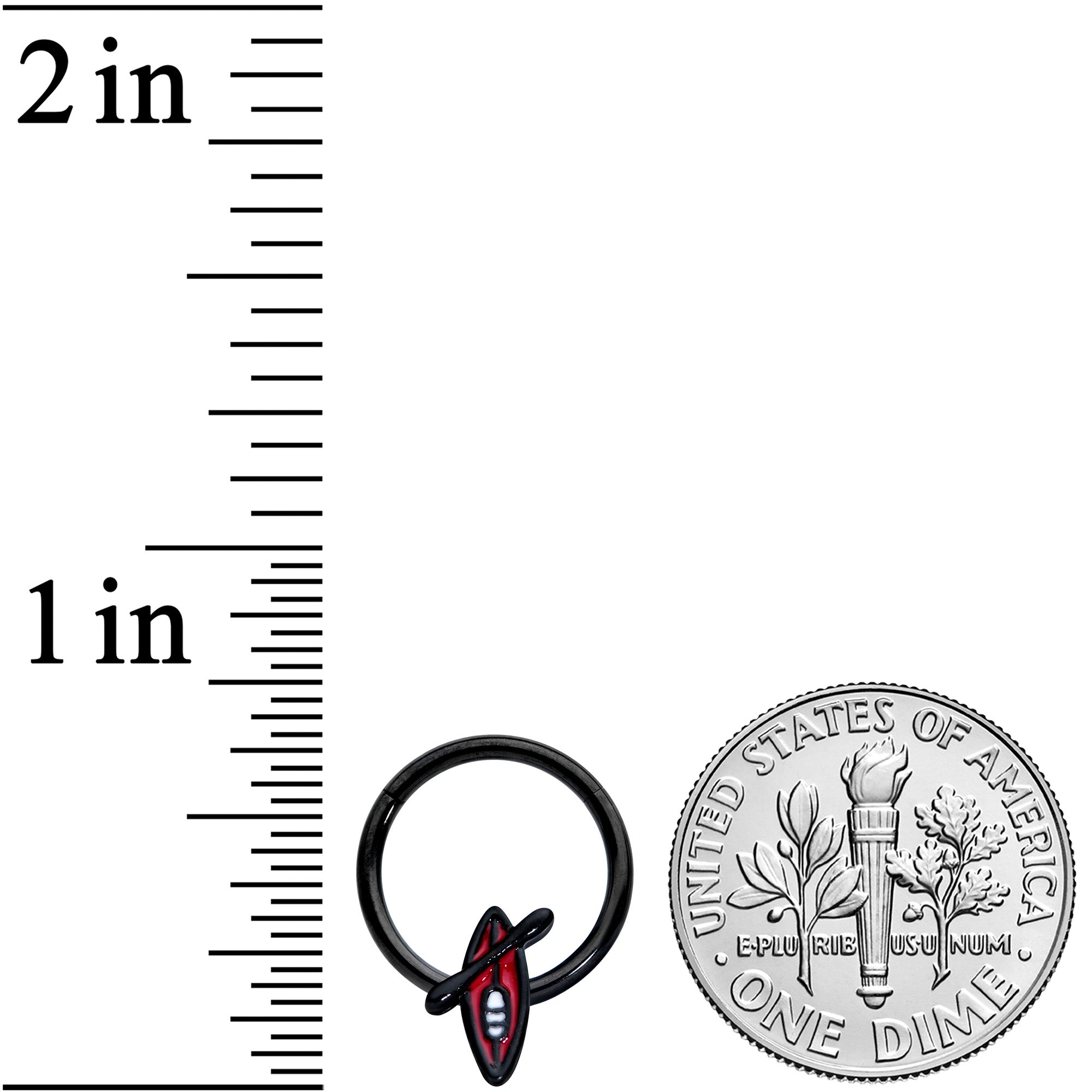 BodyCandy 16G 3/8 Black Red Summer Kayak Boat Hinged Segment Ring — lifestyle context
