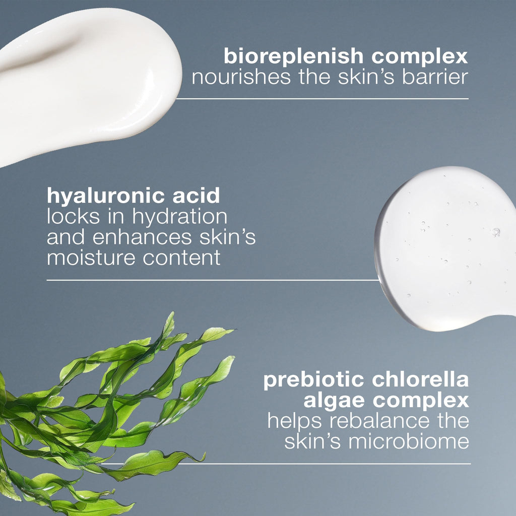 Dermalogica Intensive Moisture Balance Moisturizer for Dry Skin - Hydrating Skincare with Antioxidants & Natural Ingredients