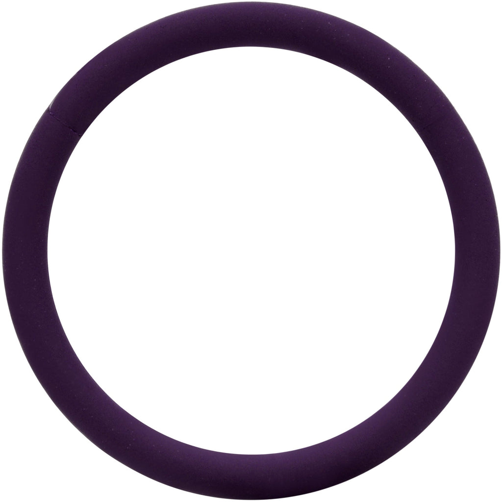 BodyCandy 18G 3/8 Dark Purple Matte Cartilage Hinged Segment Ring — main product shot