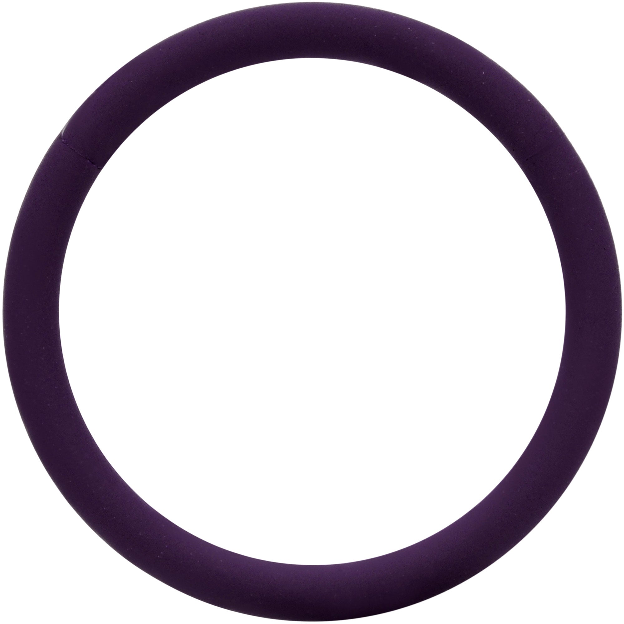 BodyCandy 18G 3/8 Dark Purple Matte Cartilage Hinged Segment Ring — main product shot