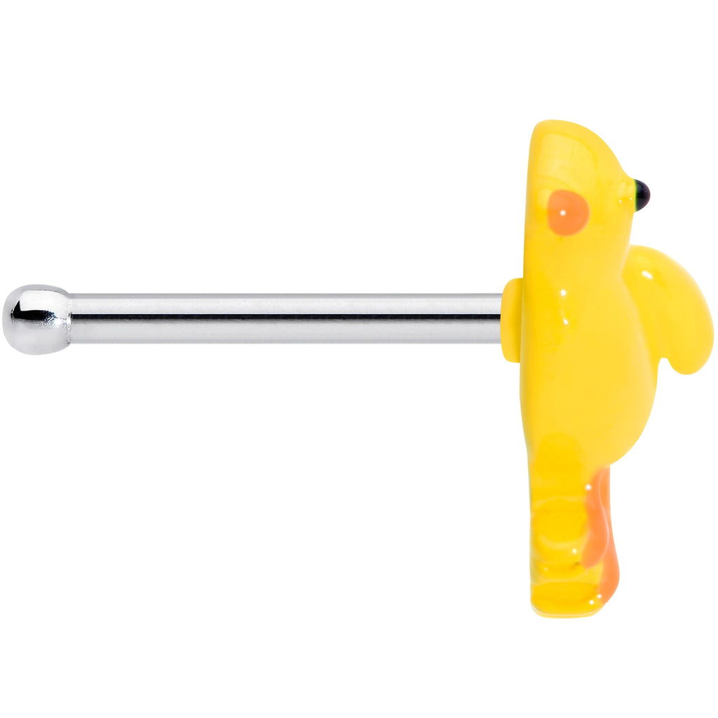 BodyCandy 20G 1/4 Yellow Easter Chick Nose Bone — lifestyle context