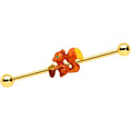 BodyCandy 14G Gold Tone Brown Happy Squirrel Acorn Industrial Barbell 38mm — main product shot