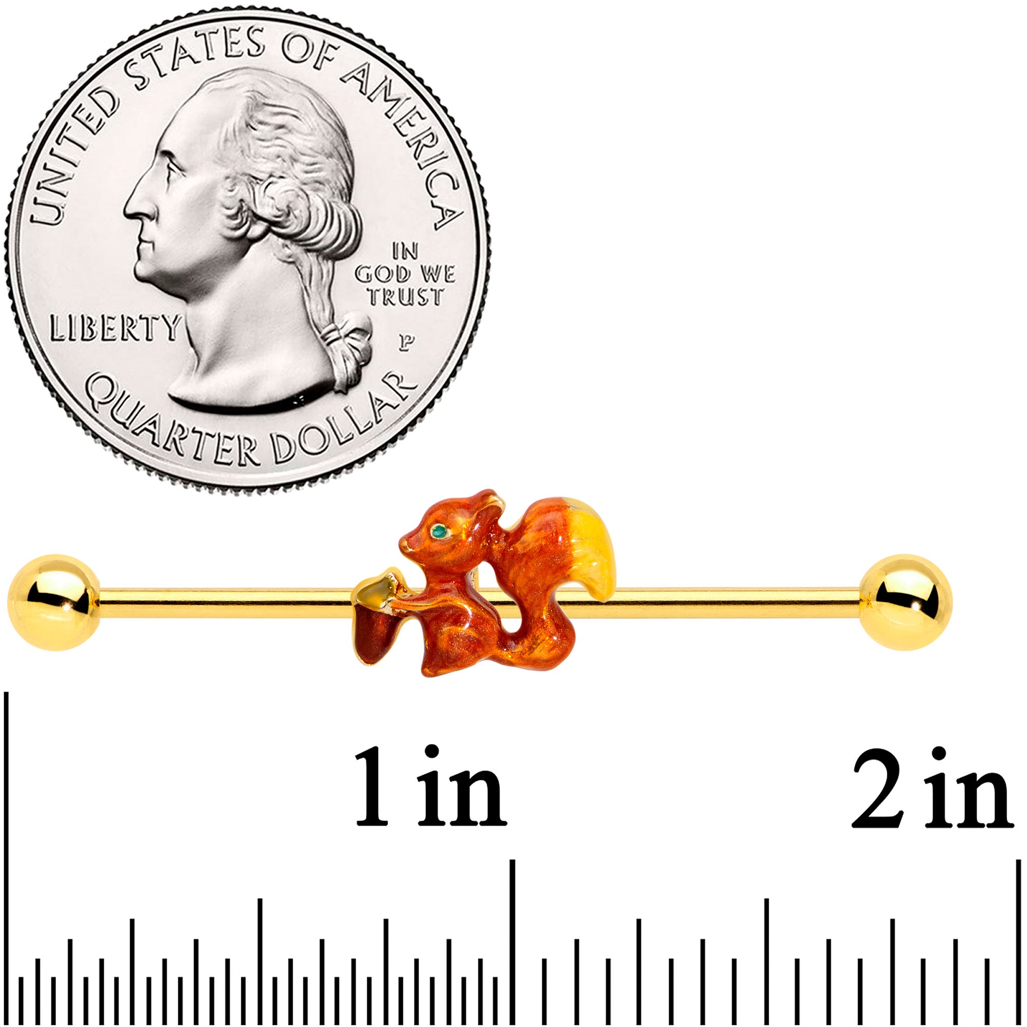 BodyCandy 14G Gold Tone Brown Happy Squirrel Acorn Industrial Barbell 38mm — detail close-up