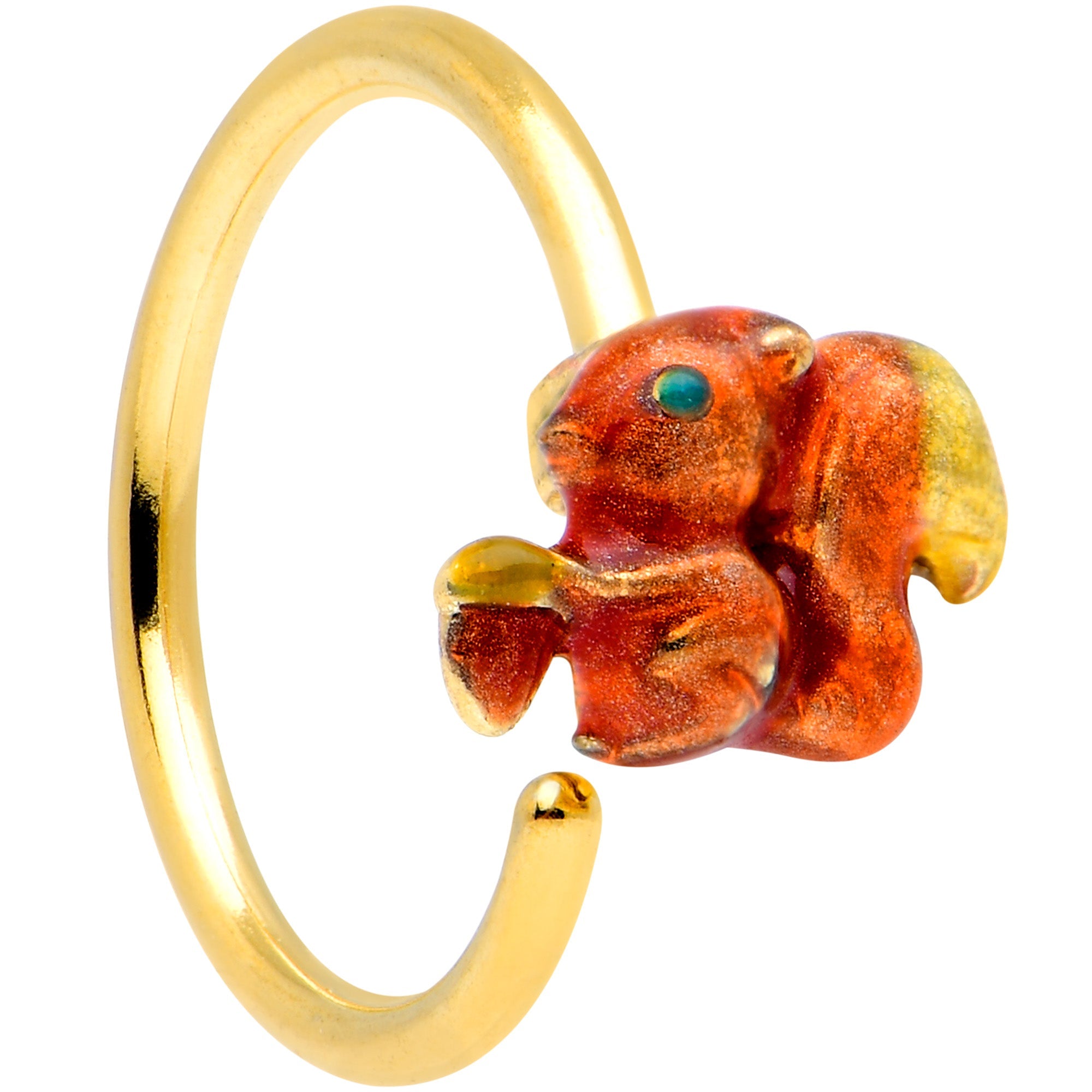 BodyCandy 20G 5/16 Gold Tone Happy Squirrel Nose Hoop — main product shot
