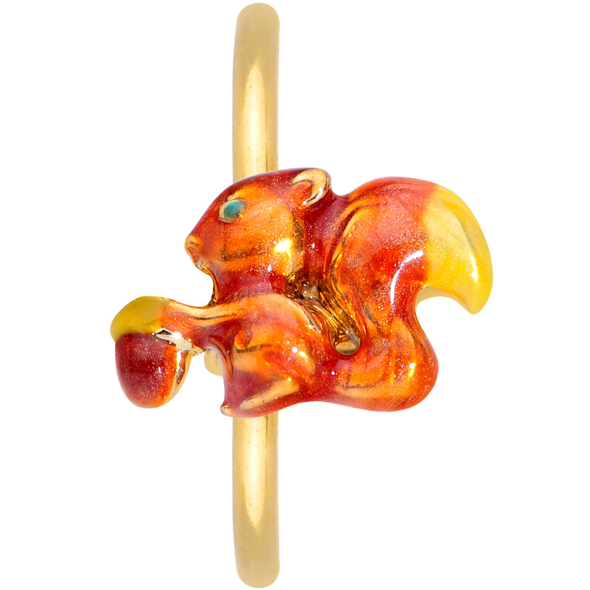 BodyCandy 20G 5/16 Gold Tone Happy Squirrel Nose Hoop — detail close-up