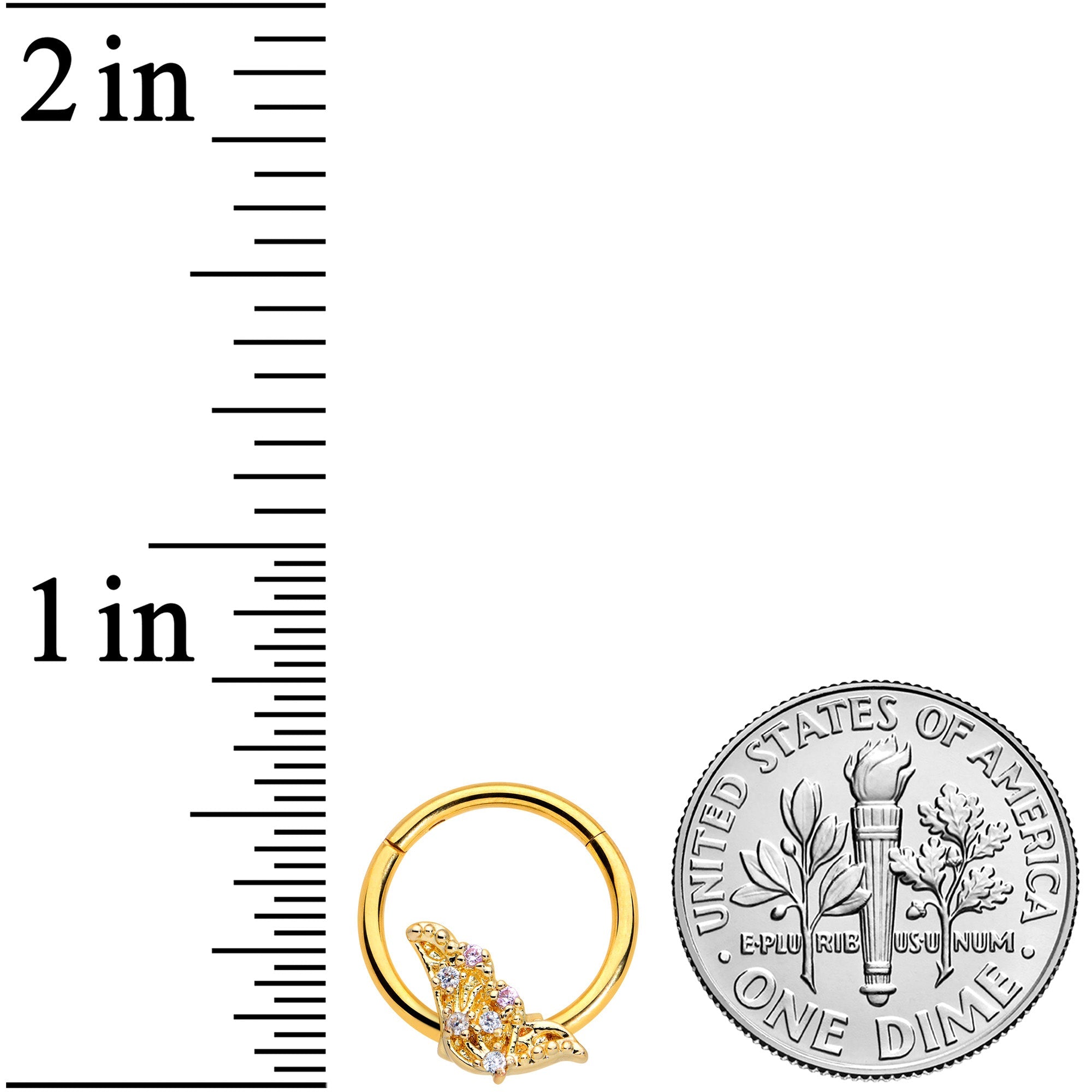 BodyCandy 16G 3/8 Clear CZ Gem Gold Tone Butterfly Hinged Segment Ring — lifestyle context