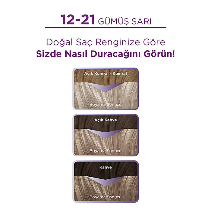 Palette Hair Color Silver Blonde 12.21 - 1oz | Intense Color Formula