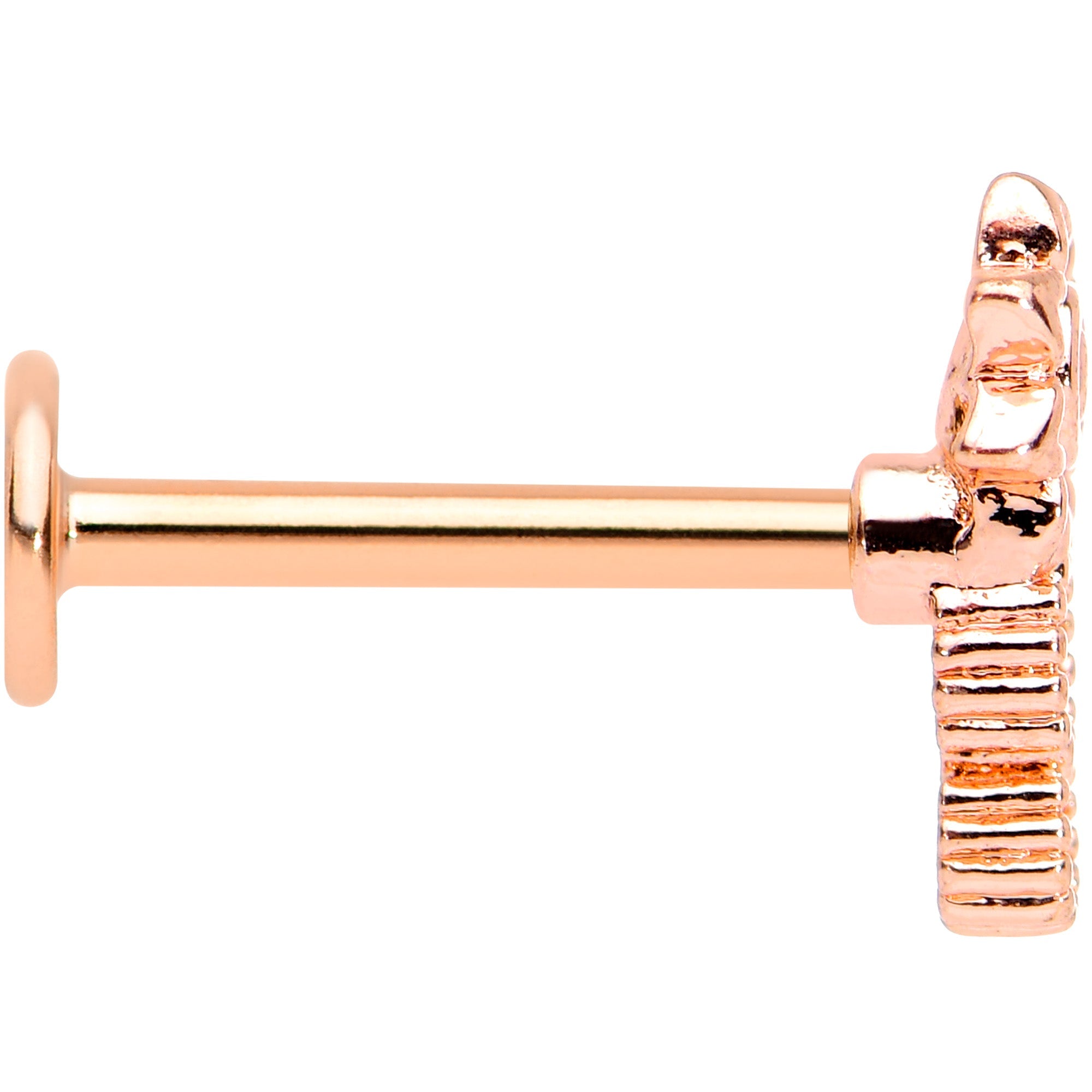 BodyCandy 16G 5/16 Clear CZ Gem Rose Gold Tone Lil Sun Labret Monroe Tragus — lifestyle context