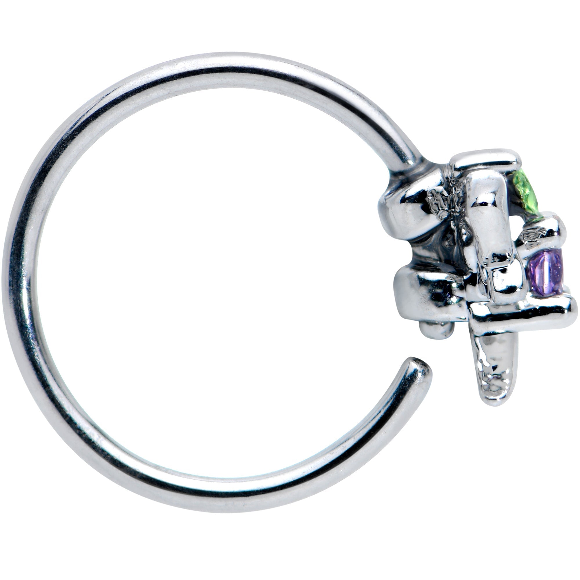 BodyCandy 20G 5/16 Green Purple Gem Dragonfly Nose Hoop — lifestyle context