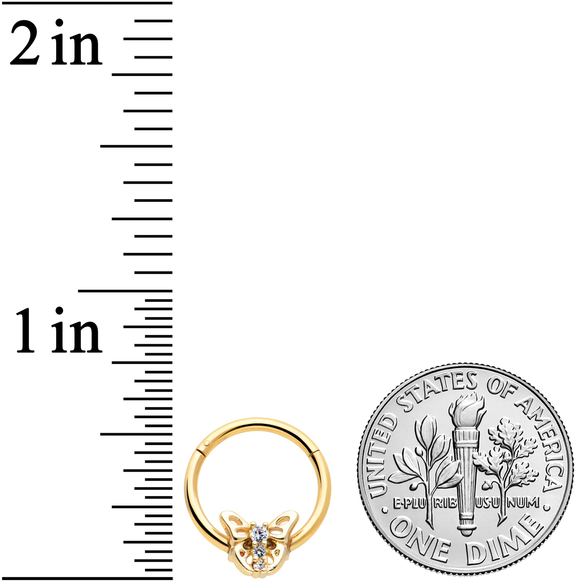 BodyCandy 16G 3/8 Clear CZ Gem Gold Tone Open Butterfly Hinged Segment Ring — lifestyle context