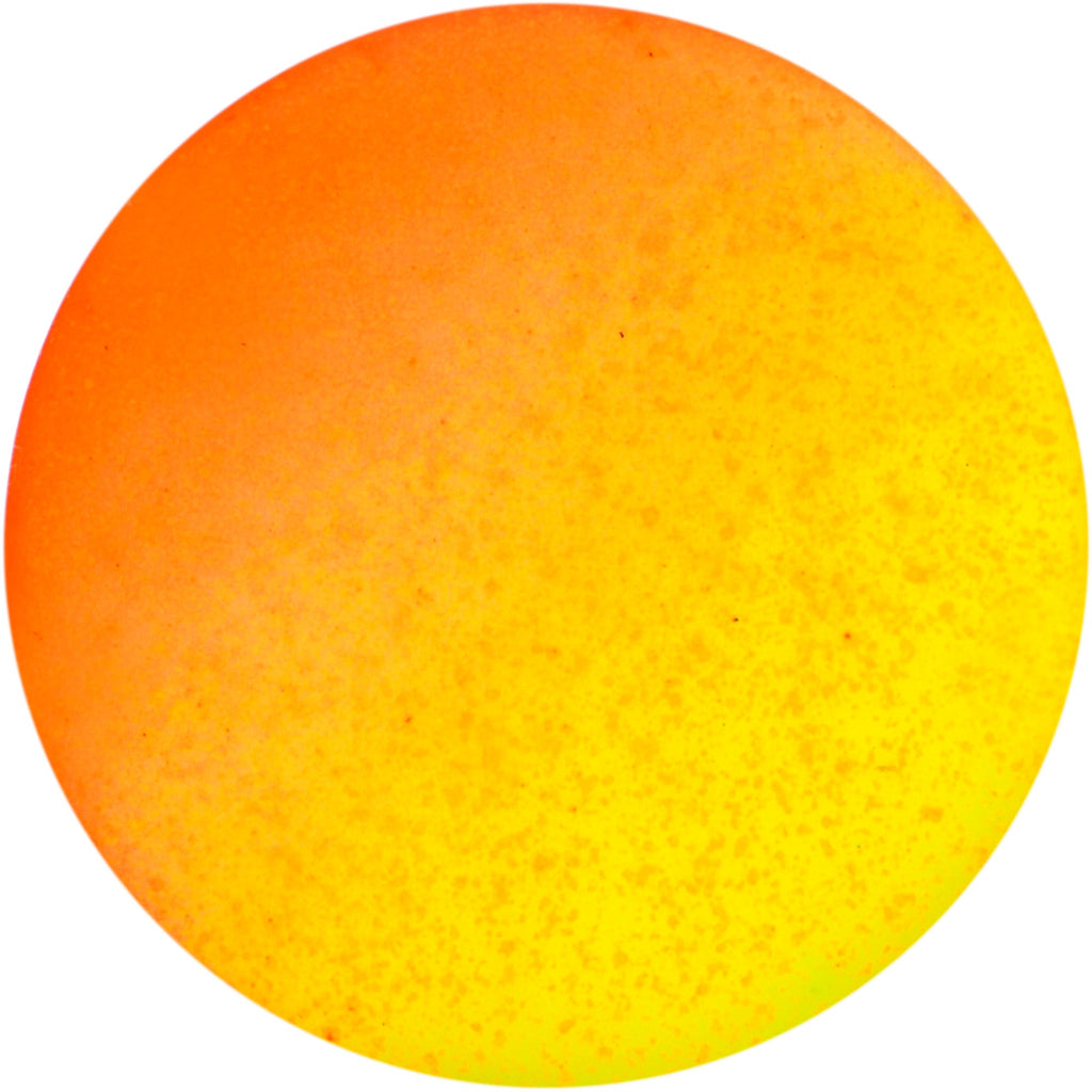 BodyCandy Orange Yellow Ombre Matte Acrylic Single Flare Plug Set Sizes 2mm-12mm — lifestyle context