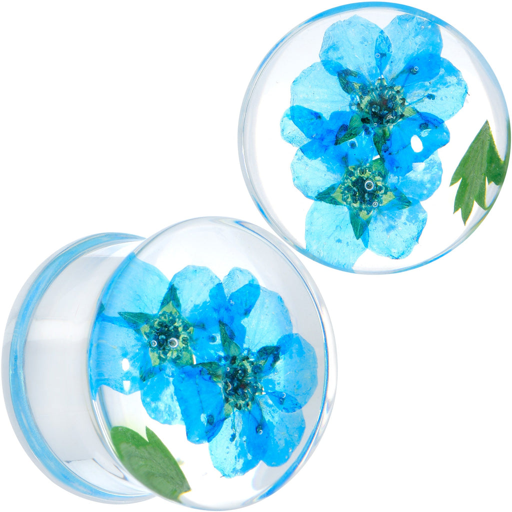 BodyCandy Clear Acrylic Color Pressed Flowers Double Flare Plug Set — size reference
