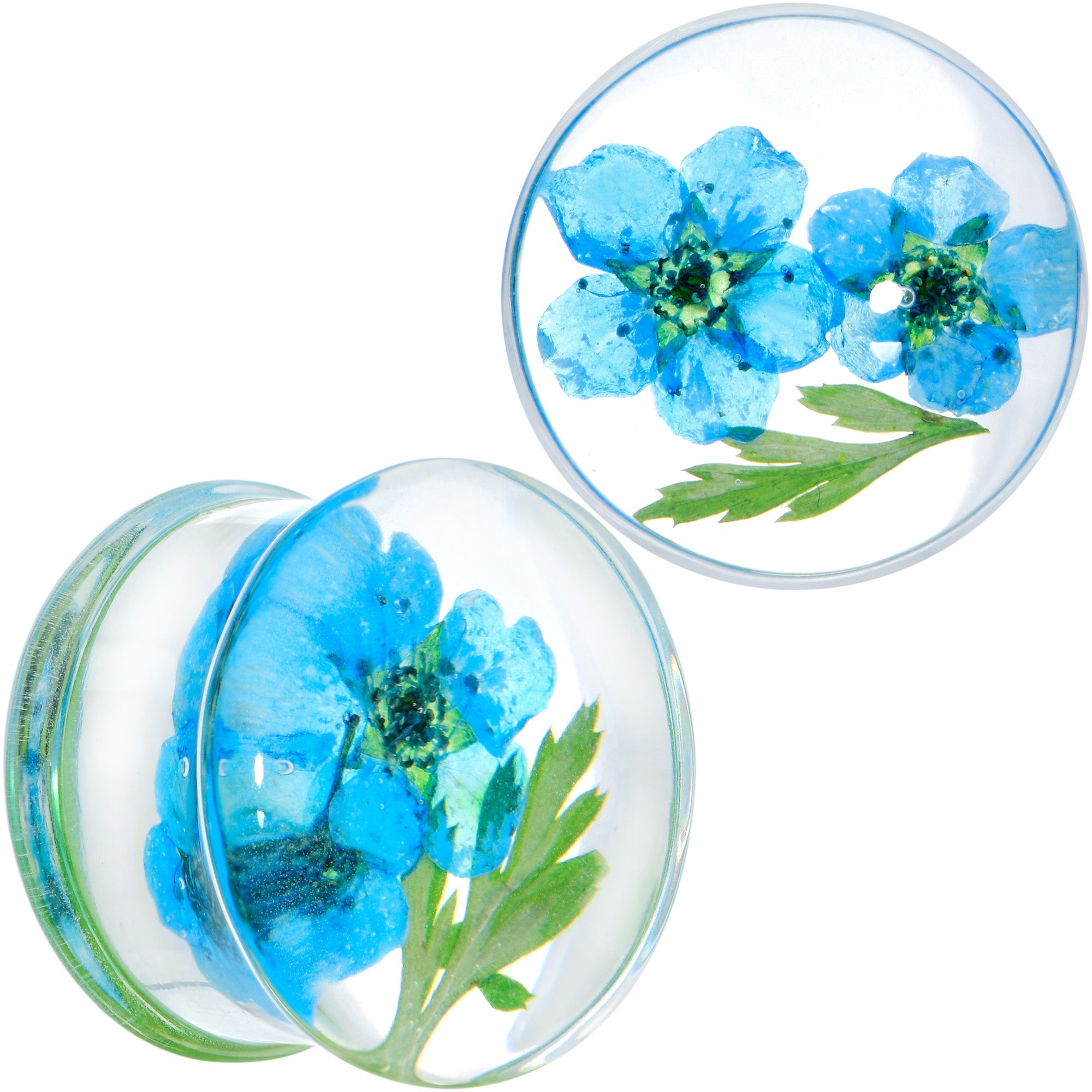 BodyCandy Clear Acrylic Color Pressed Flowers Double Flare Plug Set — color detail