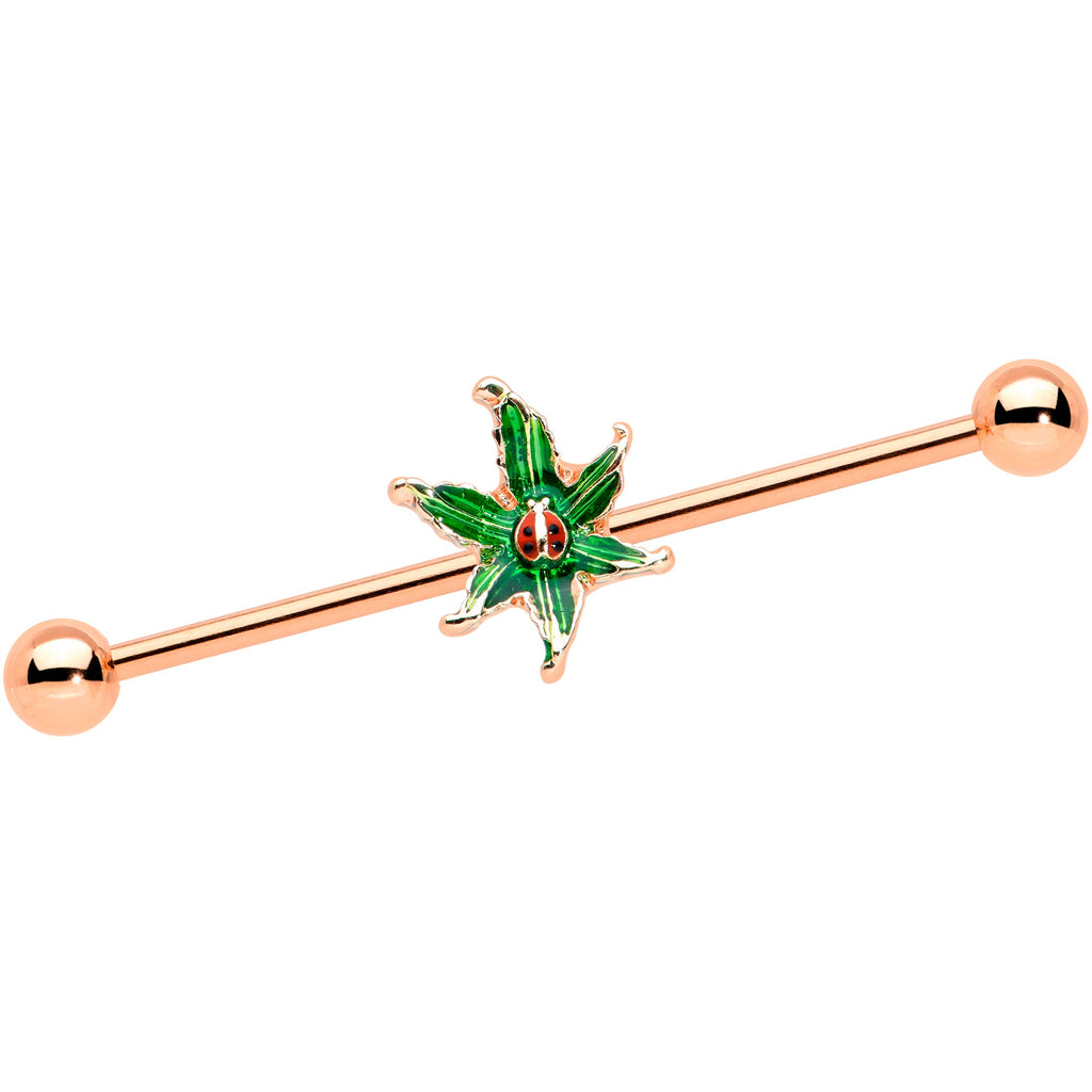 BodyCandy 14G Rose Gold Tone Tiny Ladybug Leaves Industrial Barbell 38mm — main product shot