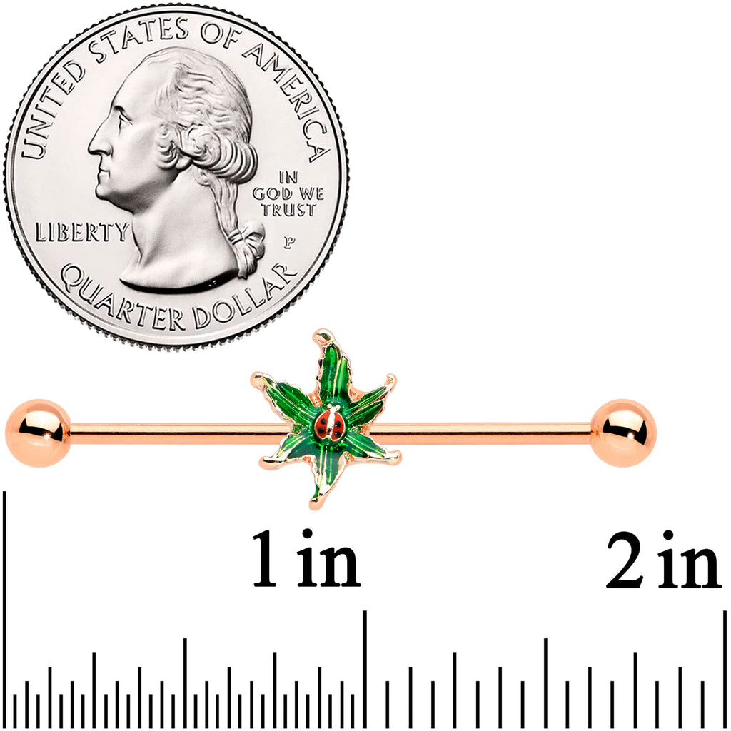 BodyCandy 14G Rose Gold Tone Tiny Ladybug Leaves Industrial Barbell 38mm — detail close-up