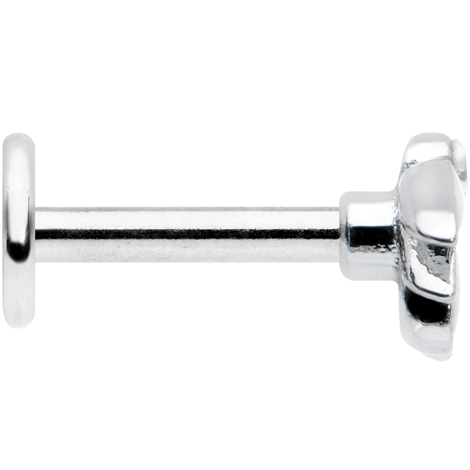 BodyCandy 16G 1/4 Clear Blue Gem White Leaves Labret Monroe Tragus — lifestyle context