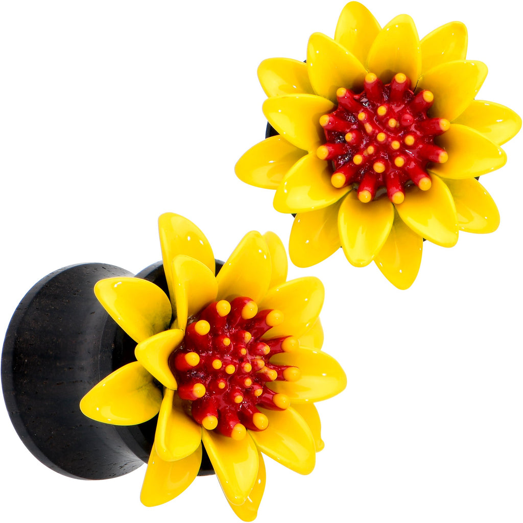 BodyCandy Natural Wood Yellow Sunflower Double Flare Plug Set — detail close-up