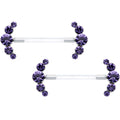 BodyCandy 14G 13/16 Purple Gem Bioplast Simple Curvation Nipple Ring Set — main product shot