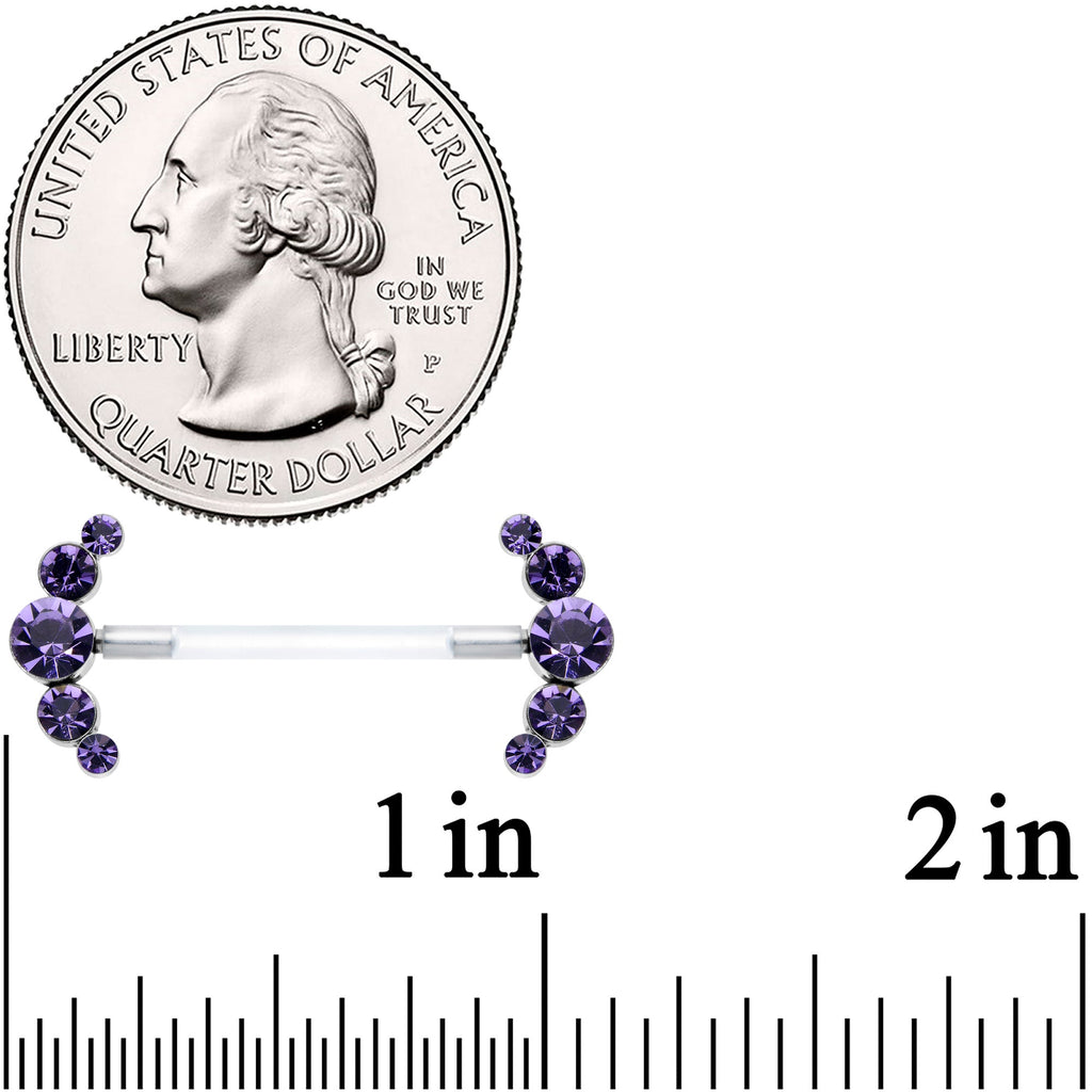 BodyCandy 14G 13/16 Purple Gem Bioplast Simple Curvation Nipple Ring Set — detail close-up