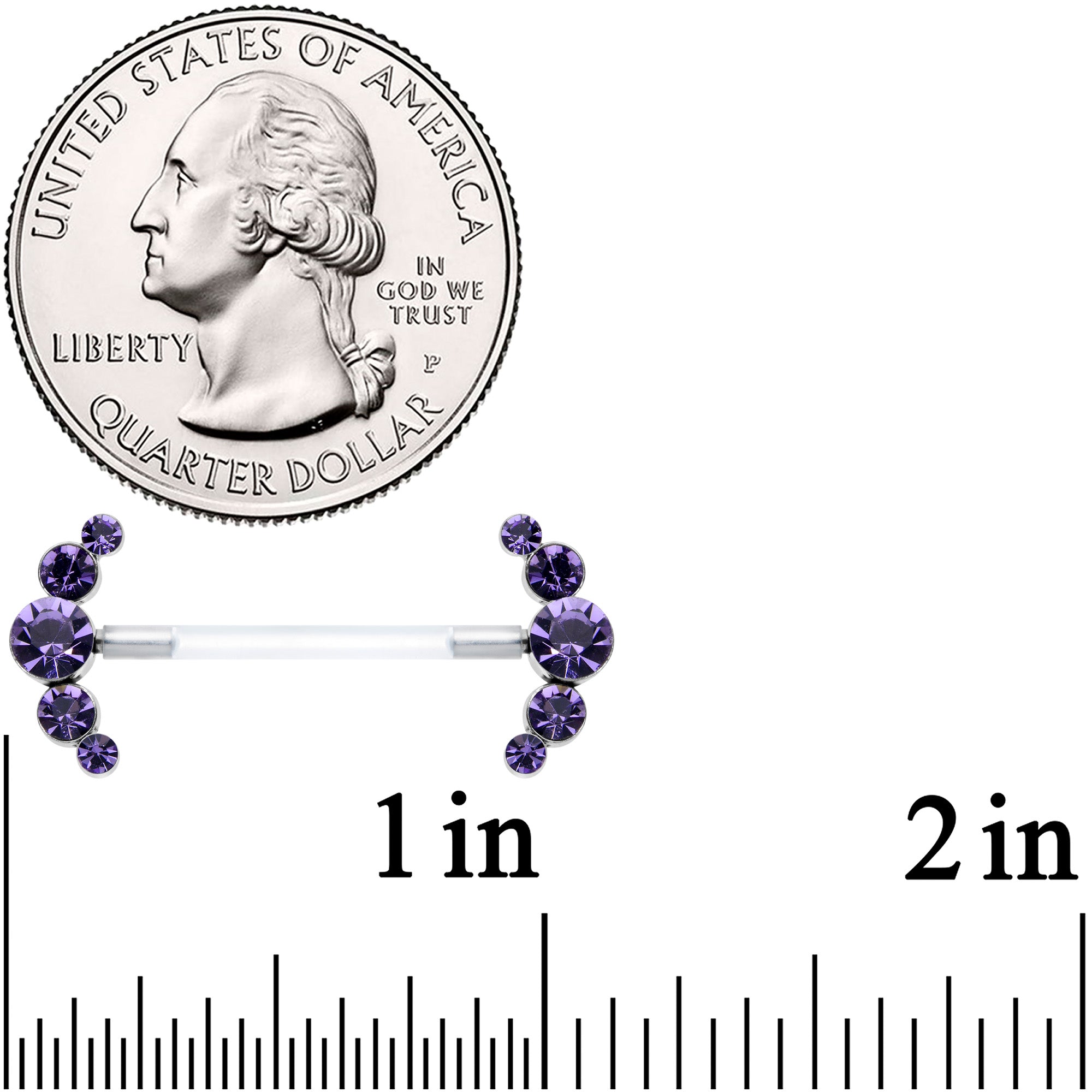BodyCandy 14G 13/16 Purple Gem Bioplast Simple Curvation Nipple Ring Set — detail close-up