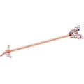 BodyCandy 14G Aurora CZ Rose Gold Tone Butterfly Industrial Barbell 38mm — main product shot