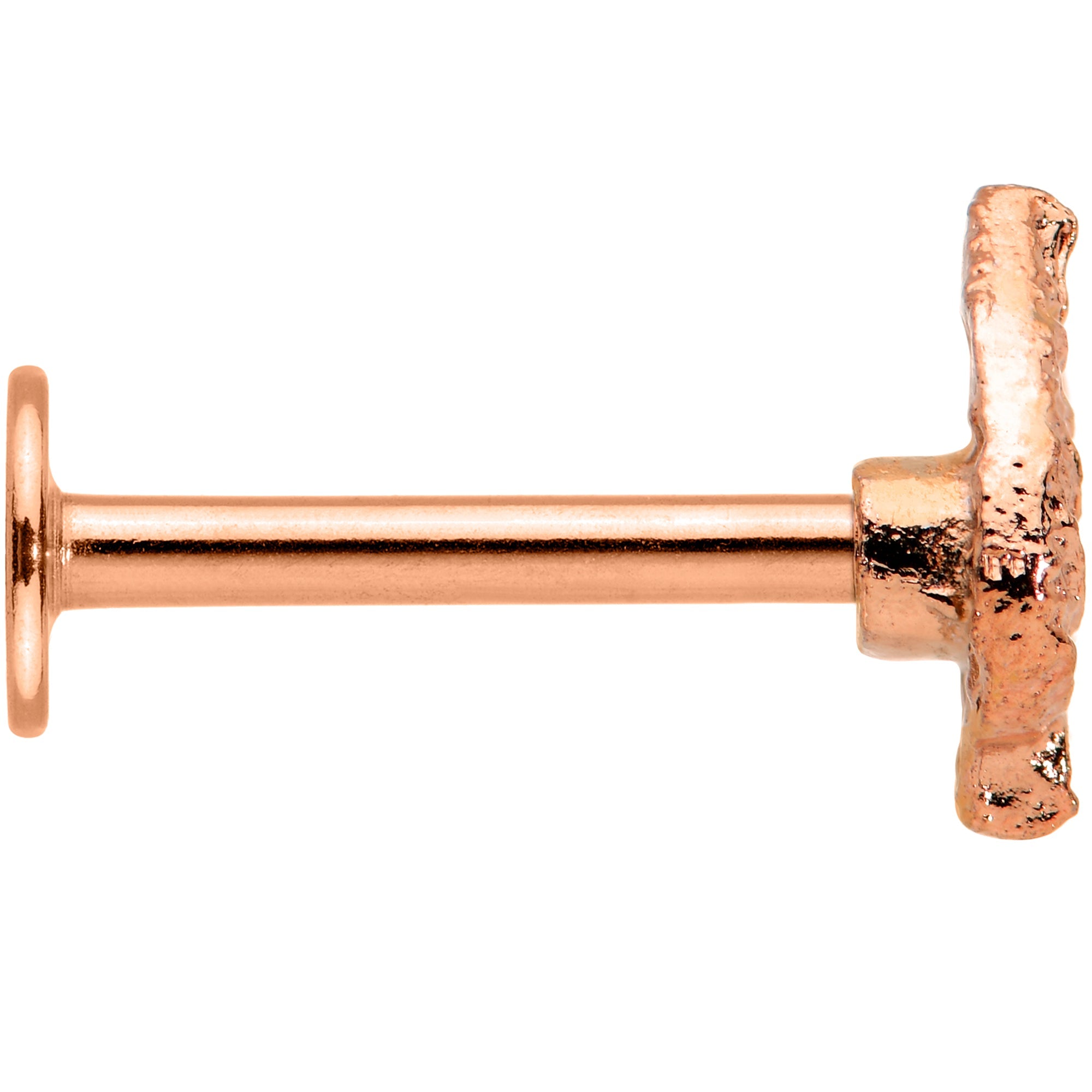 BodyCandy 16G 5/16 Rose Gold Tone Autumn Textured Leaf Labret Monroe Tragus — lifestyle context