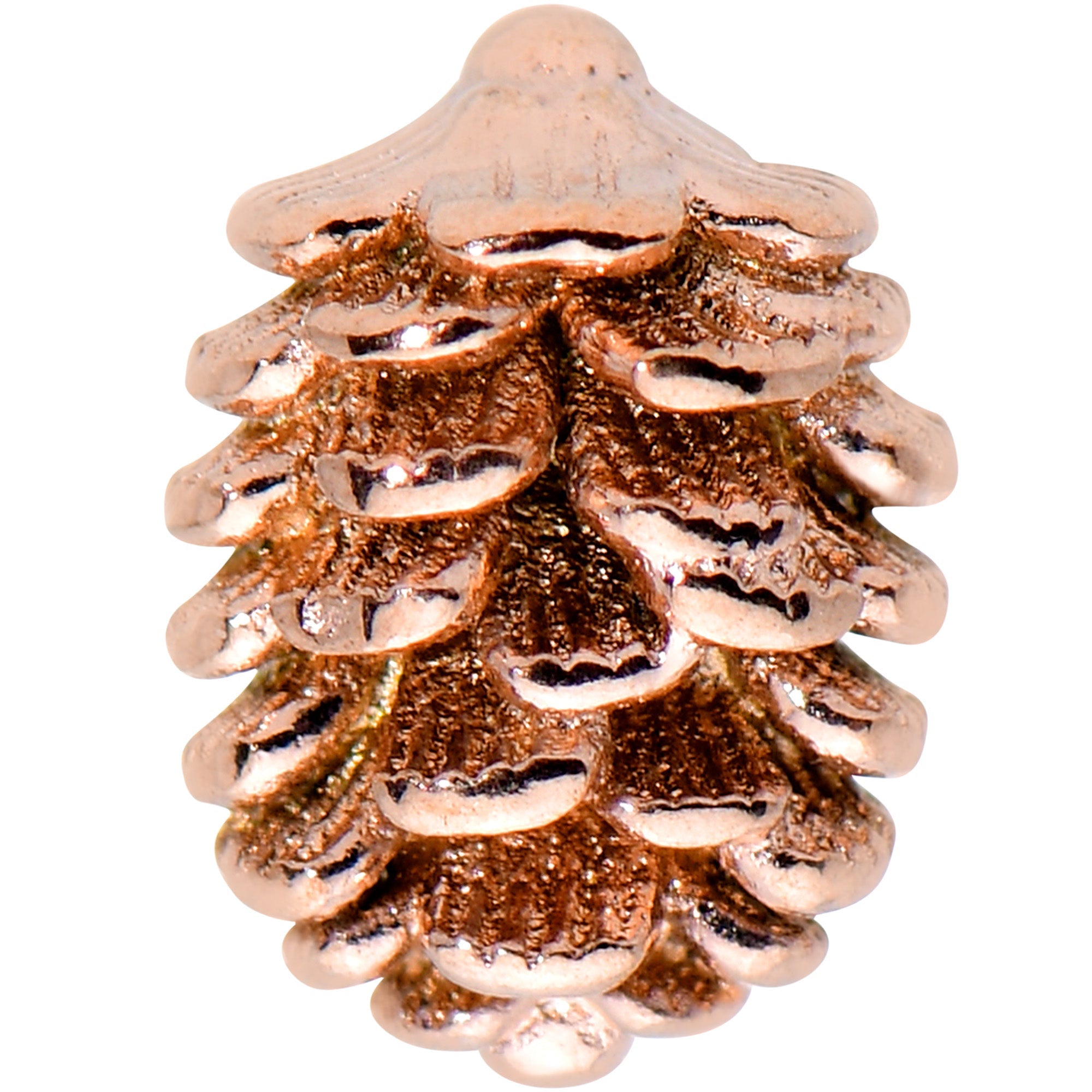 BodyCandy 16G 5/16 Autumn Pine Cone Labret Monroe Tragus — detail close-up