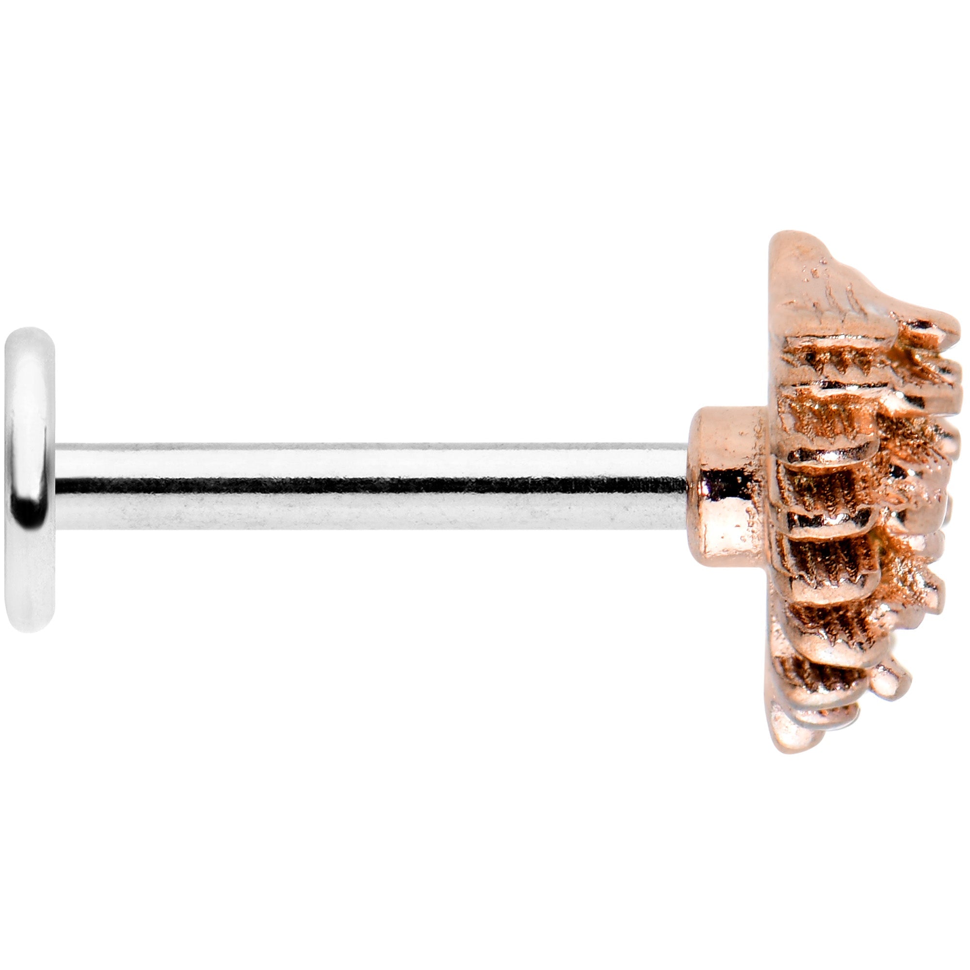 BodyCandy 16G 5/16 Autumn Pine Cone Labret Monroe Tragus — lifestyle context