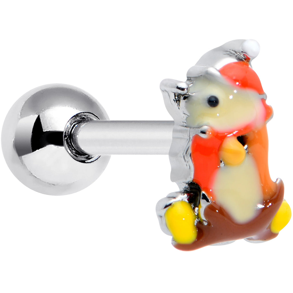 BodyCandy 16G 1/4 Cozy Winter Hedgehog Cartilage Tragus Earring — main product shot