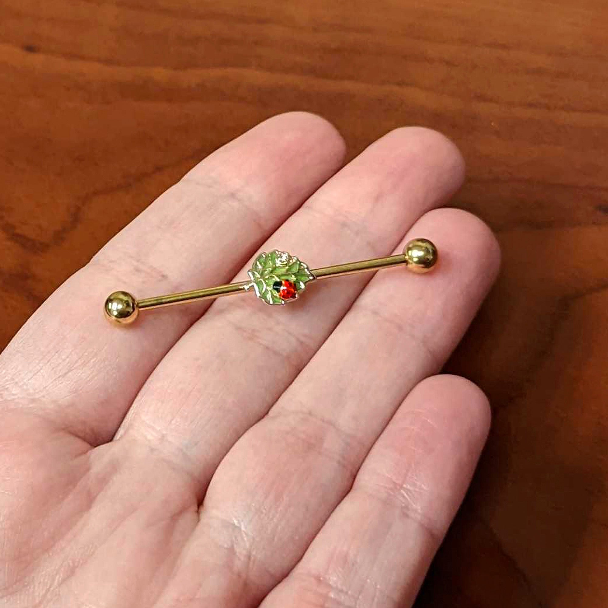 BodyCandy 14G Clear Gem Gold Tone Leafy Ladybug Industrial Barbell 38mm — lifestyle context