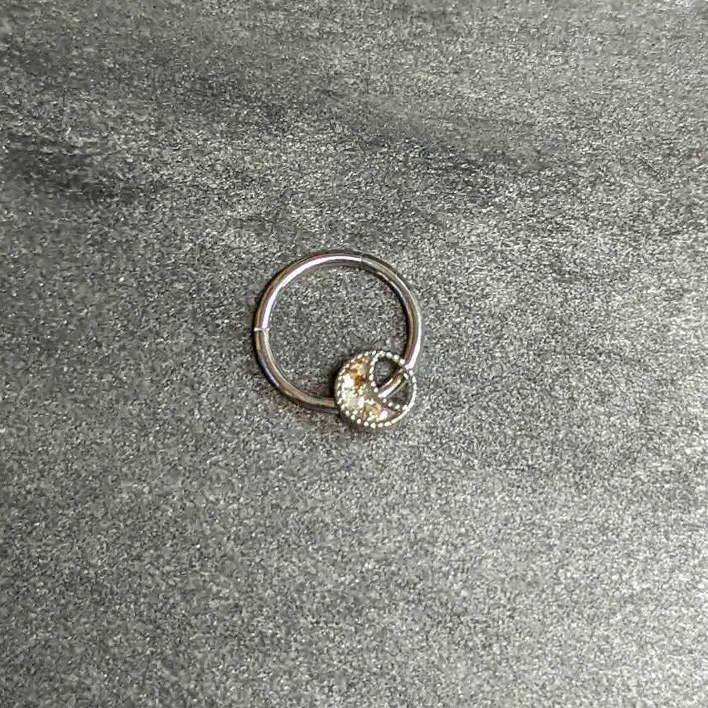 BodyCandy 16G 3/8 Iridescent Crescent Moon Hinged Segment Ring — alternative angle