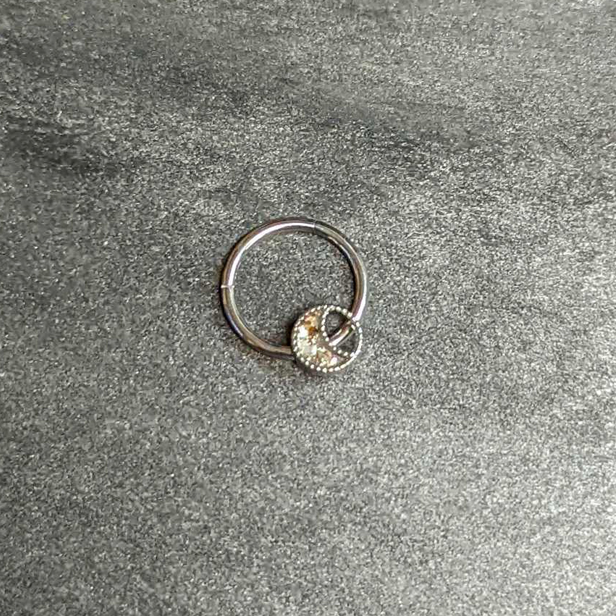 BodyCandy 16G 3/8 Iridescent Crescent Moon Hinged Segment Ring — alternative angle