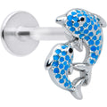 BodyCandy 16G 5/16 Black Gem Blue Leaping Dolphins Labret Monroe Tragus — main product shot