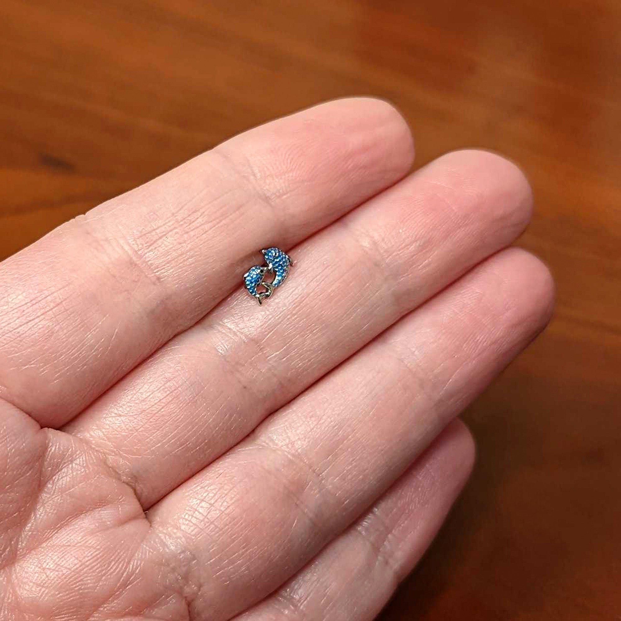 BodyCandy 16G 1/4 Black Gem Blue Leaping Dolphins Cartilage Tragus Earring — back view