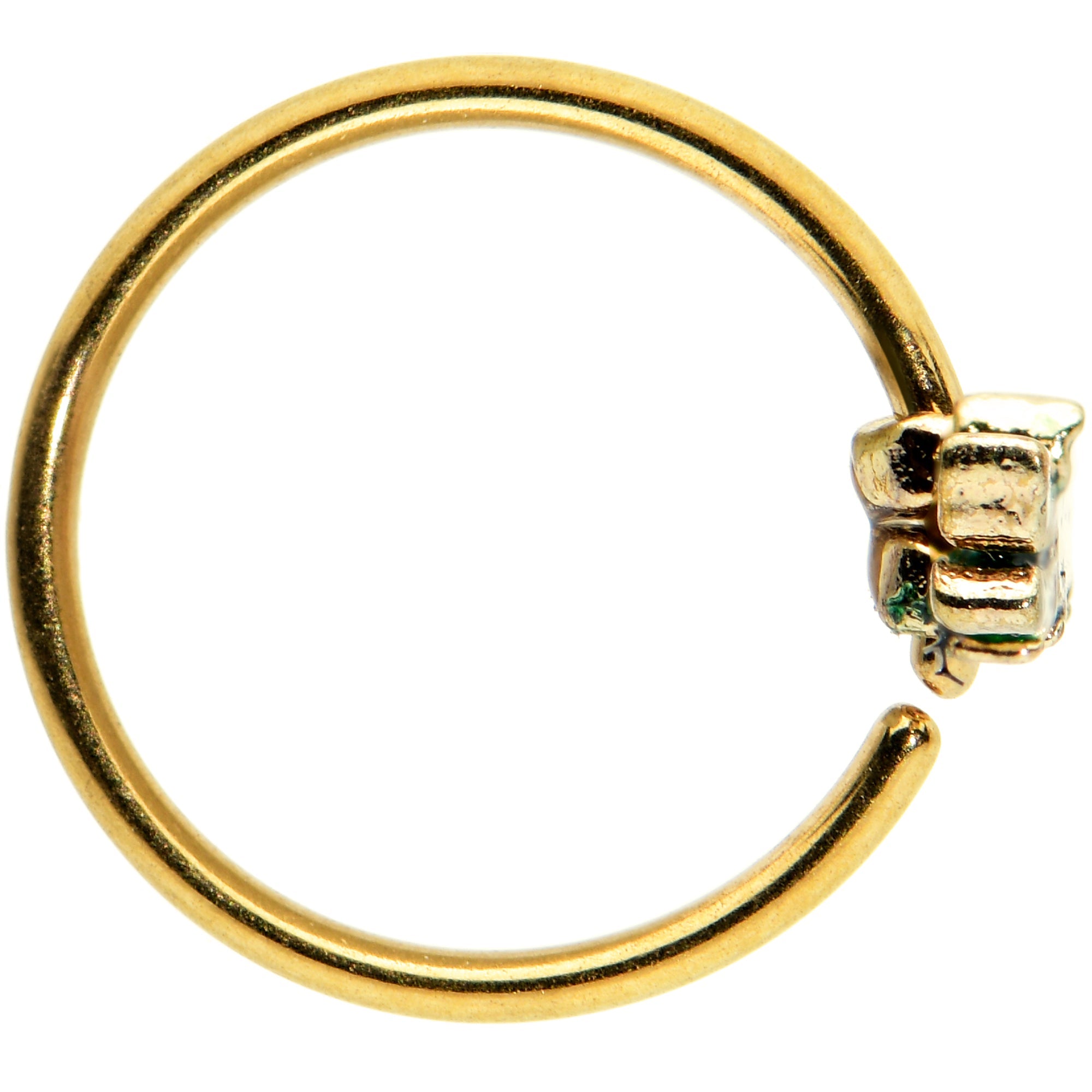 BodyCandy 20G 5/16 Gold Tone Hungry Alligator Nose Hoop — lifestyle context