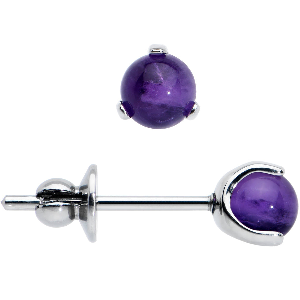 BodyCandy 4mm Purple Amethyst Stone Implant Grade Titanium Stud Earrings — lifestyle context
