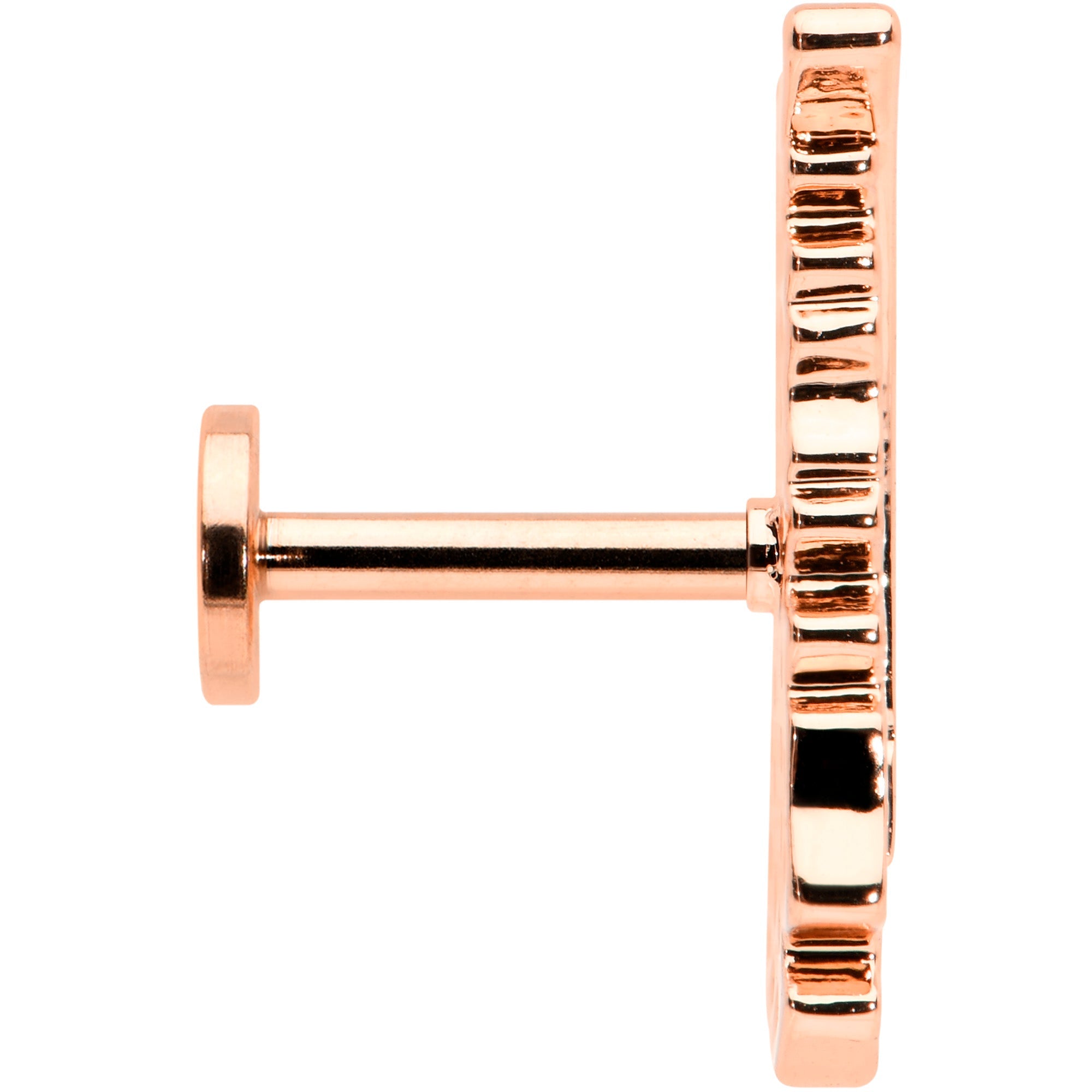 BodyCandy 16G 1/4 Clear CZ Rosy Hue Feather Internal Threaded Labret Tragus — lifestyle context