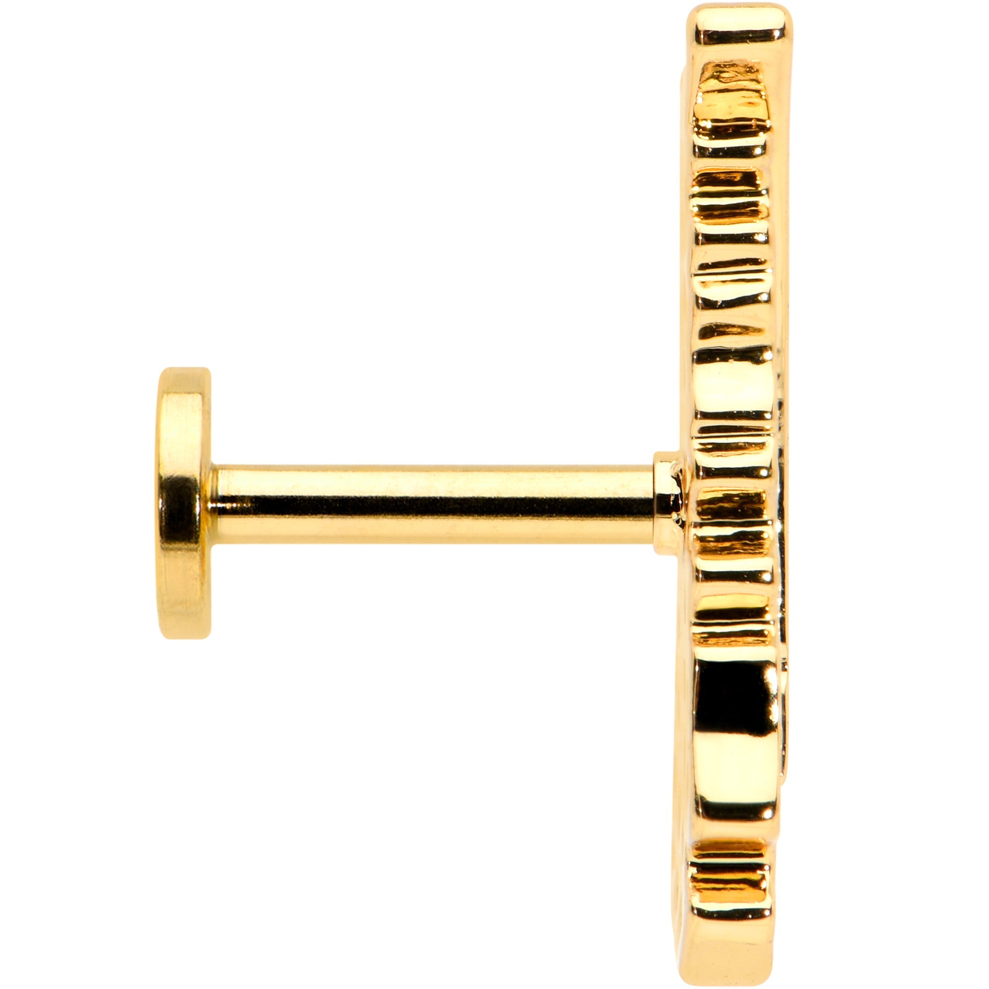 BodyCandy 16G 1/4 Clear CZ Gold Hue Feather Internal Threaded Labret Tragus — lifestyle context