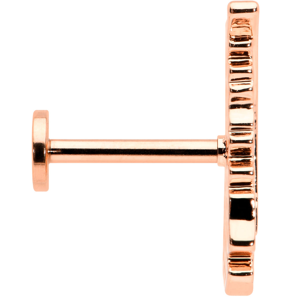BodyCandy 16G 5/16 Clear CZ Rosy Hue Feather Internal Thread Labret Tragus — lifestyle context