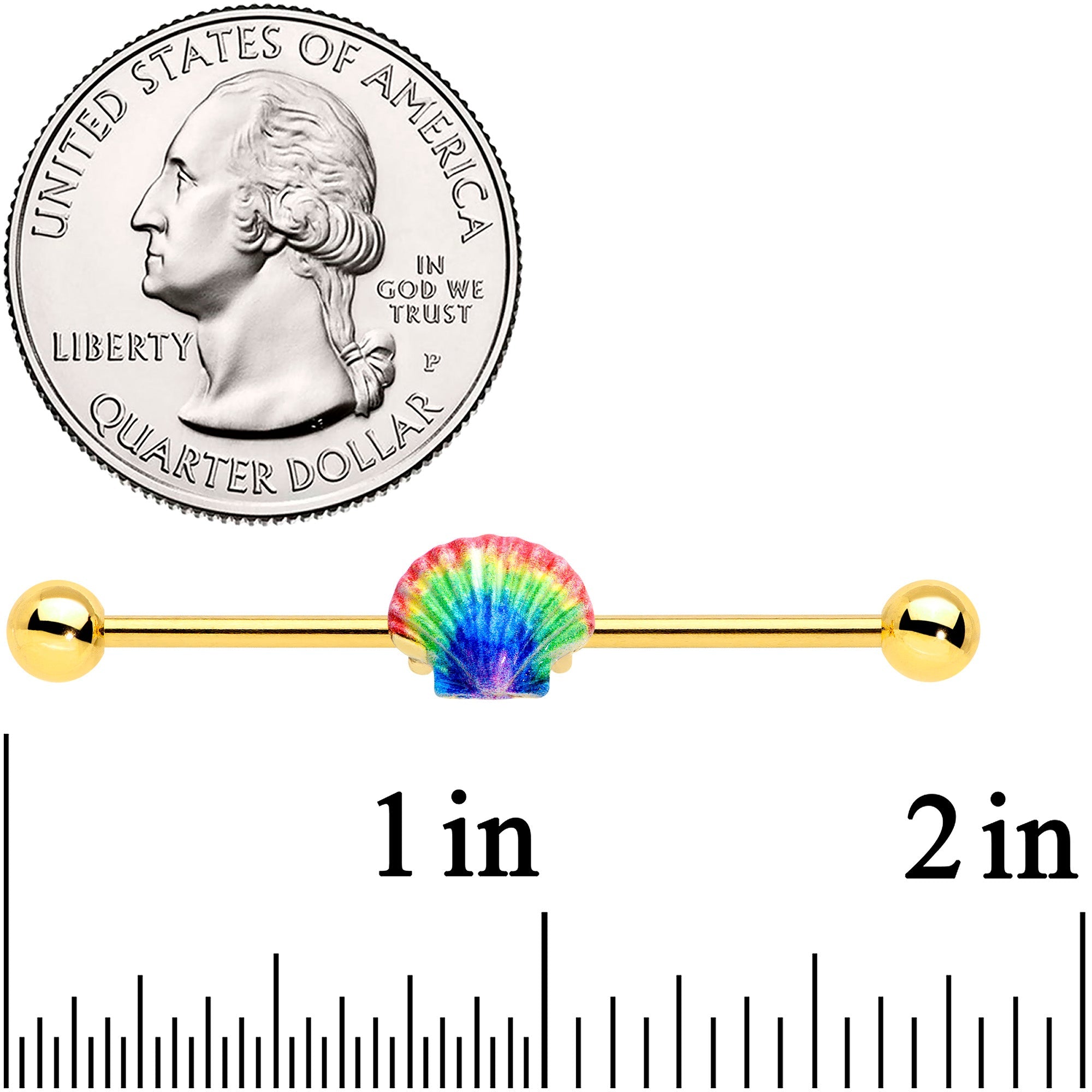 BodyCandy 14G Gold Tone Rainbow Scallop Shell Industrial Barbell 38mm — detail close-up