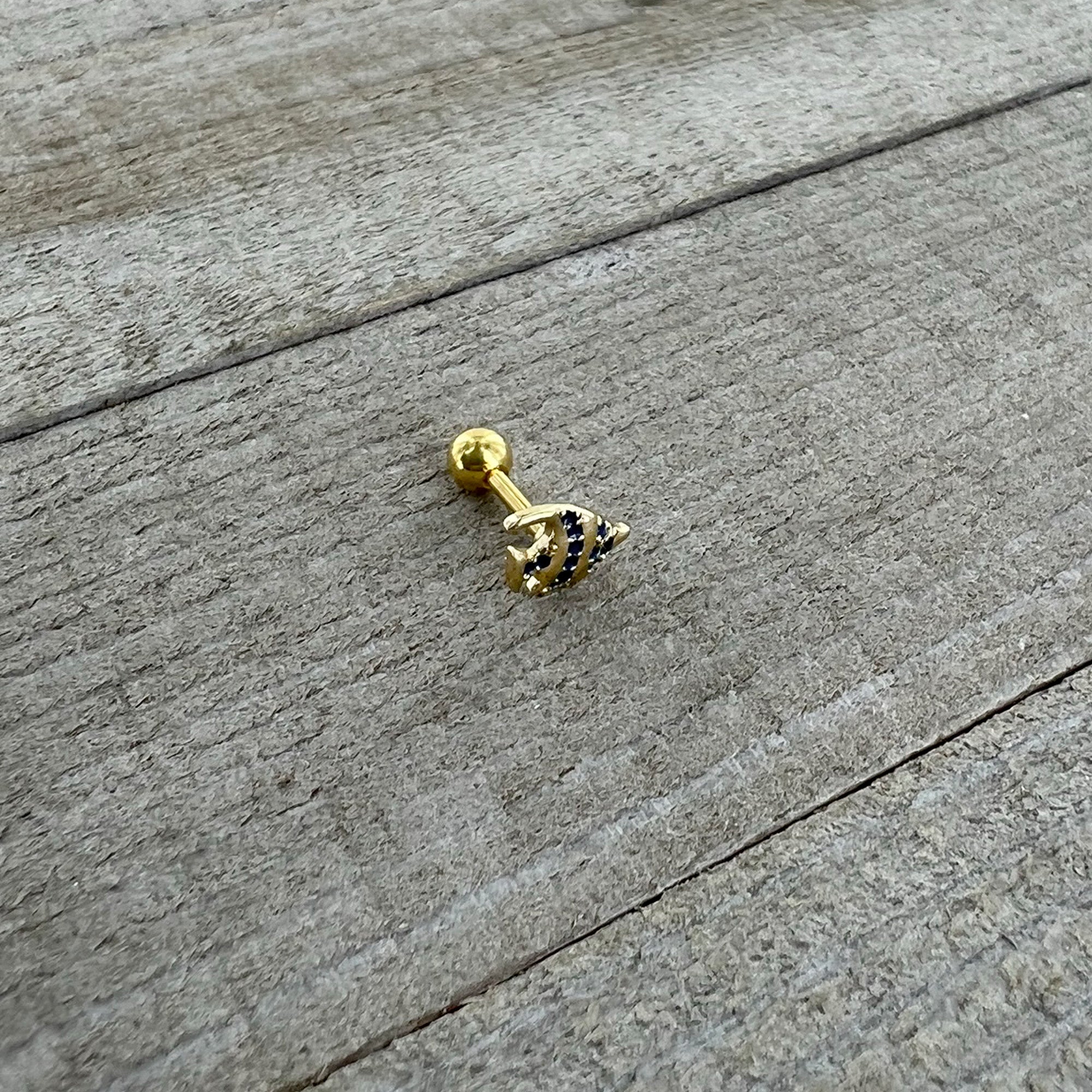 BodyCandy 16G 1/4 Gold Tone Blue Adorable Angelfish Cartilage Tragus — back view