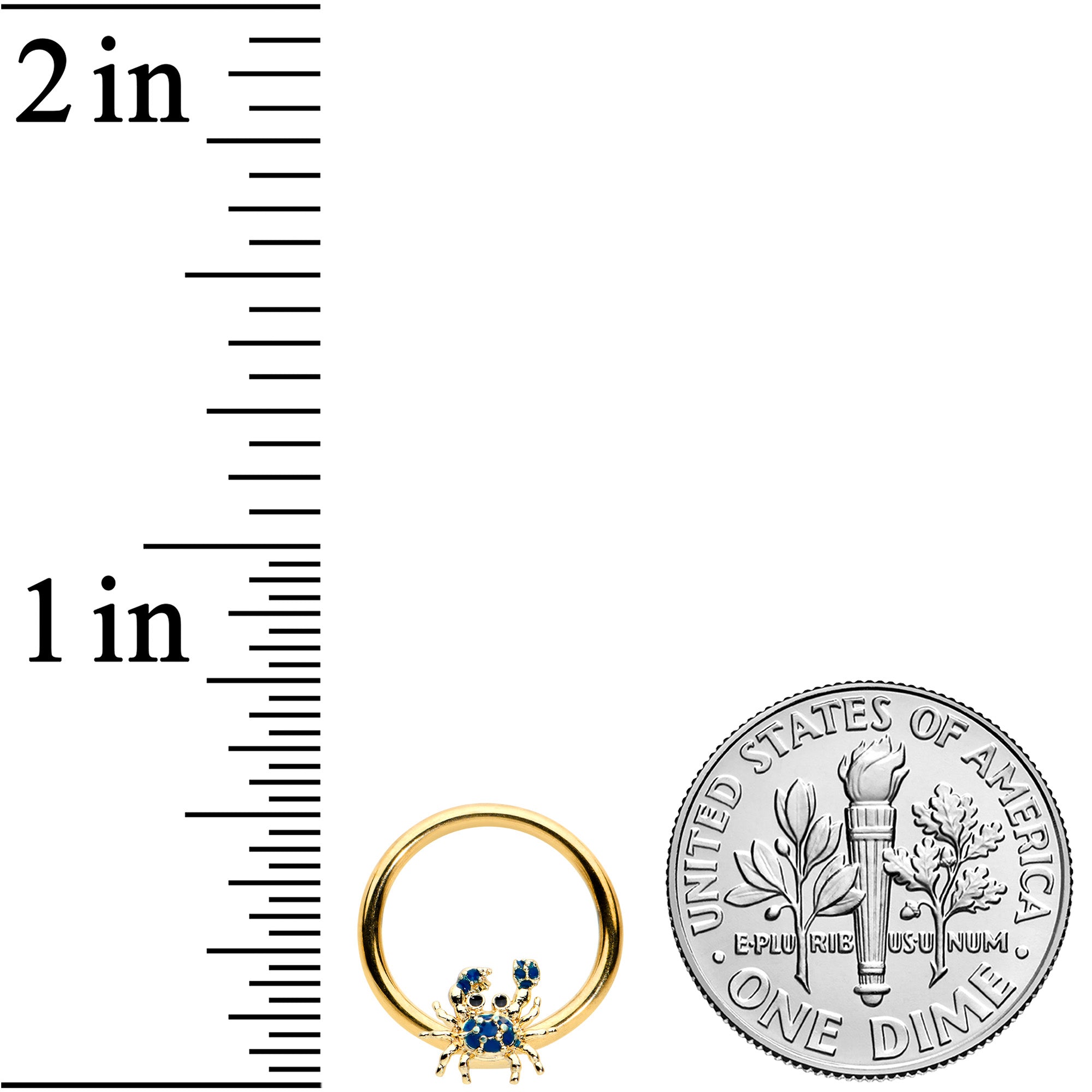 BodyCandy 16G 3/8 Gold Tone Blue Crab Nautical BCR Captive Ring — lifestyle context