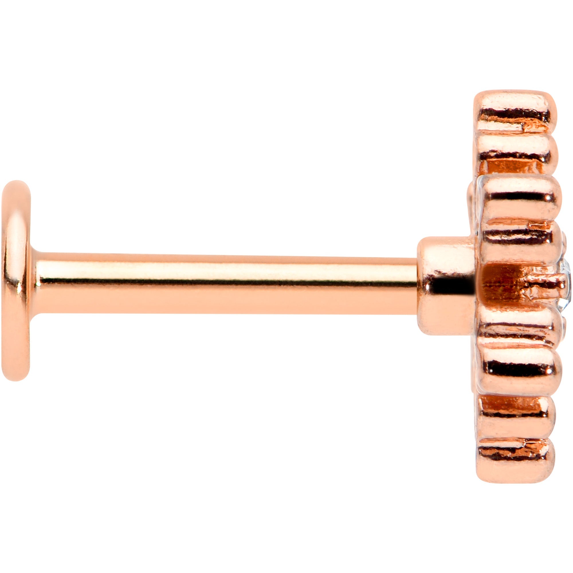BodyCandy 16G 5/16 Clear Gem Rose Gold Tone Snowflake Labret Monroe Tragus — lifestyle context