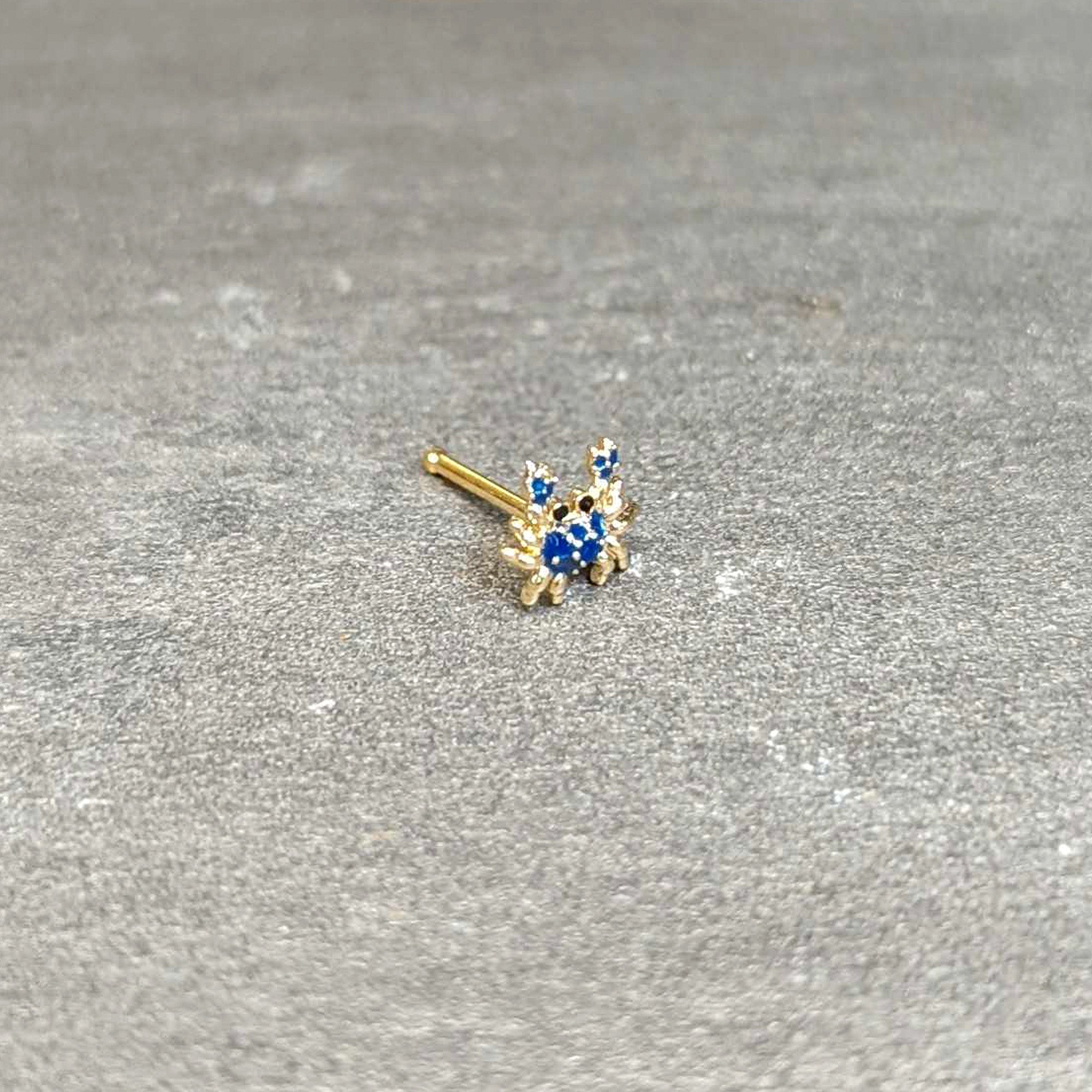 BodyCandy 20G 1/4 Black Gem Gold Tone Blue Crab Nautical Nose Bone — back view