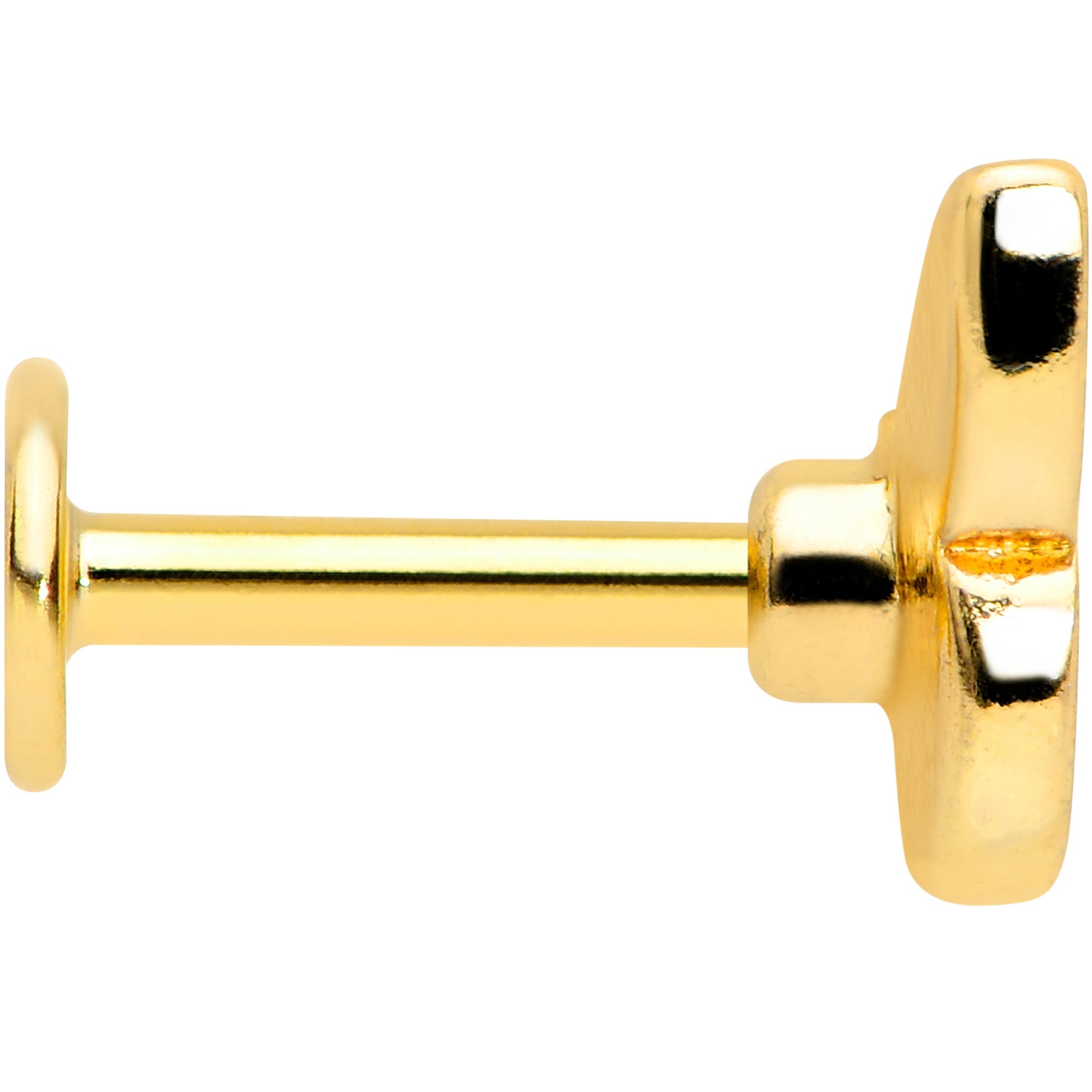 BodyCandy 16G 1/4 Gold Tone Red Pink Blue Butterfly Labret Monroe Tragus — lifestyle context