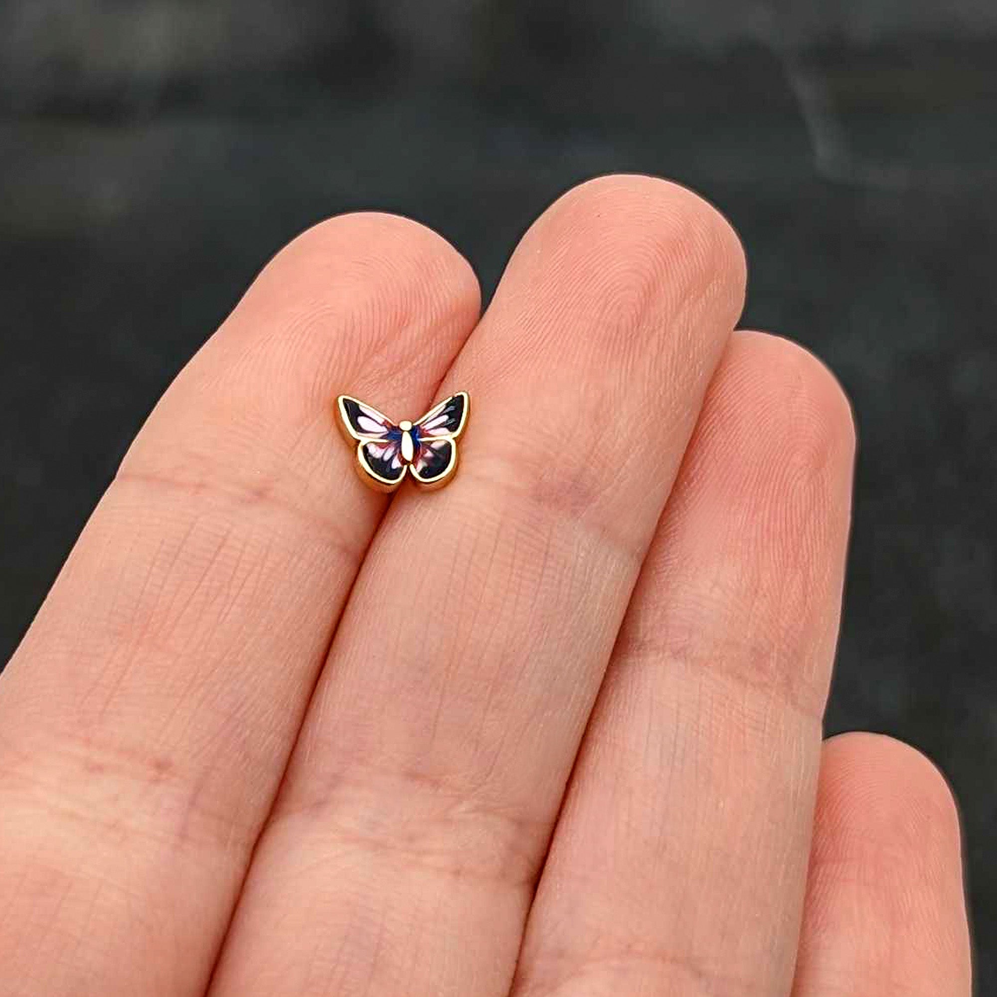 BodyCandy 16G 1/4 Gold Tone Red Pink Blue Butterfly Labret Monroe Tragus — size reference